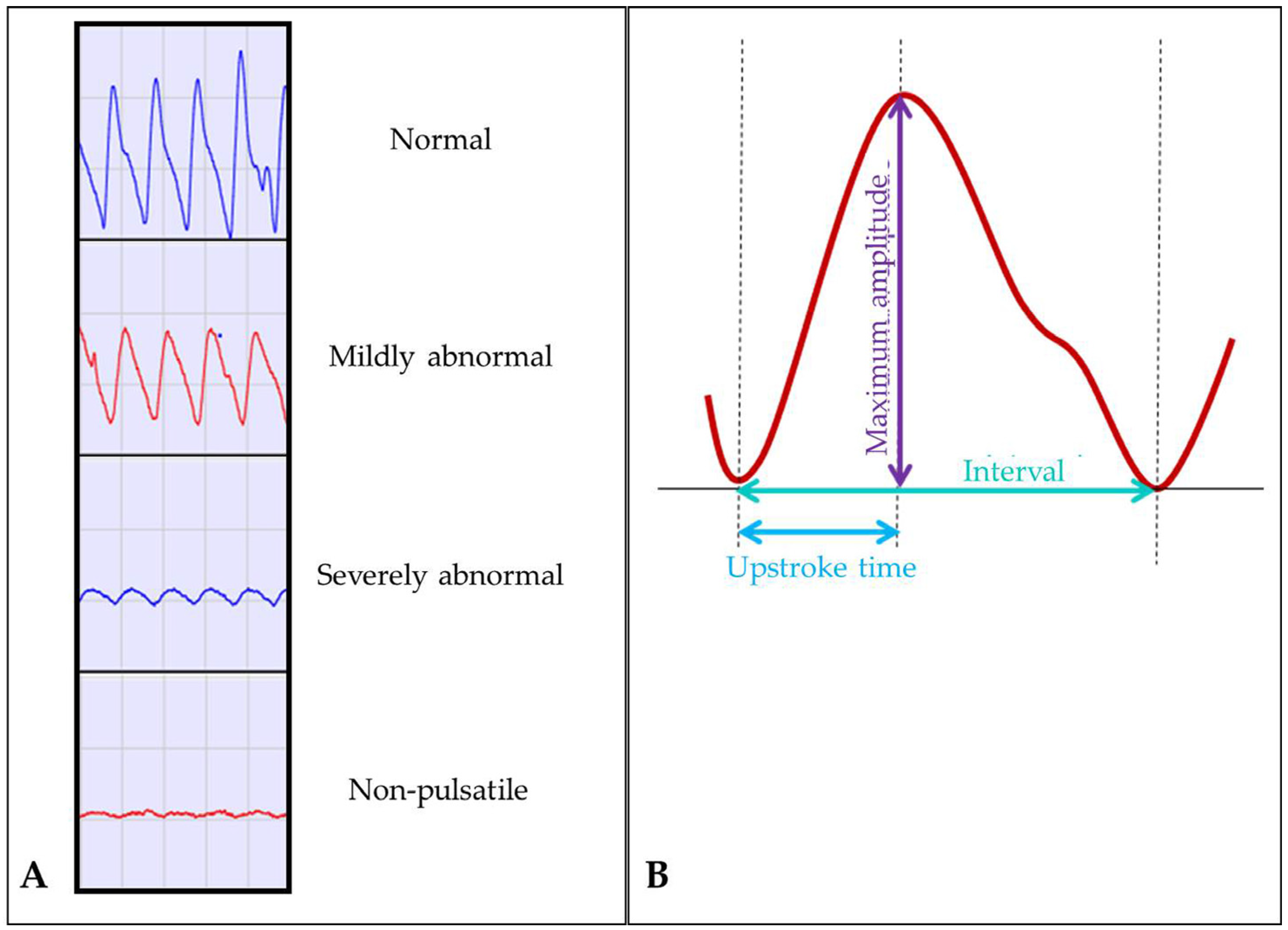 Biomedicines 13 01281 g002