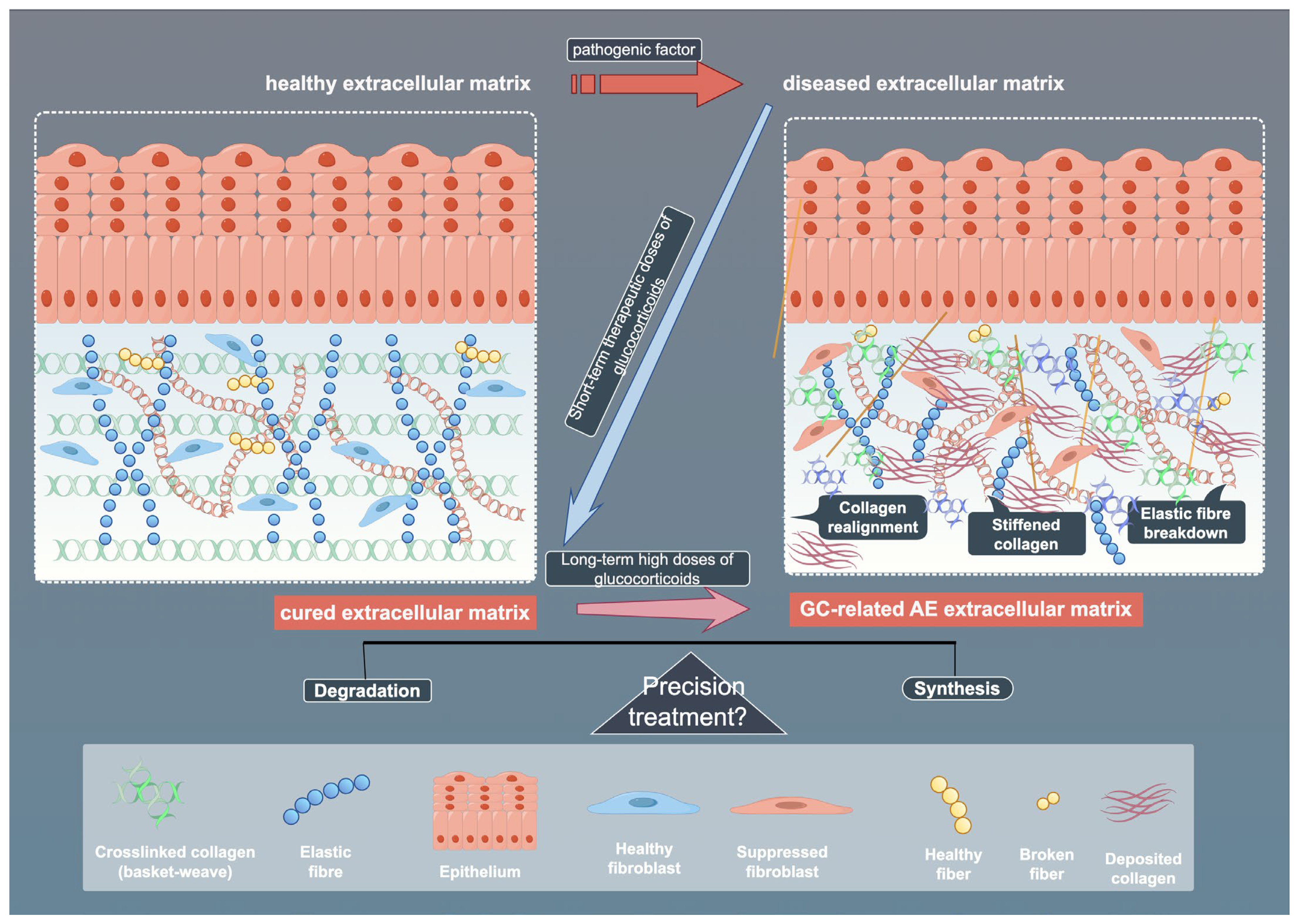 Biomedicines 13 01282 g004 Biomedicines 13 01282 g004
