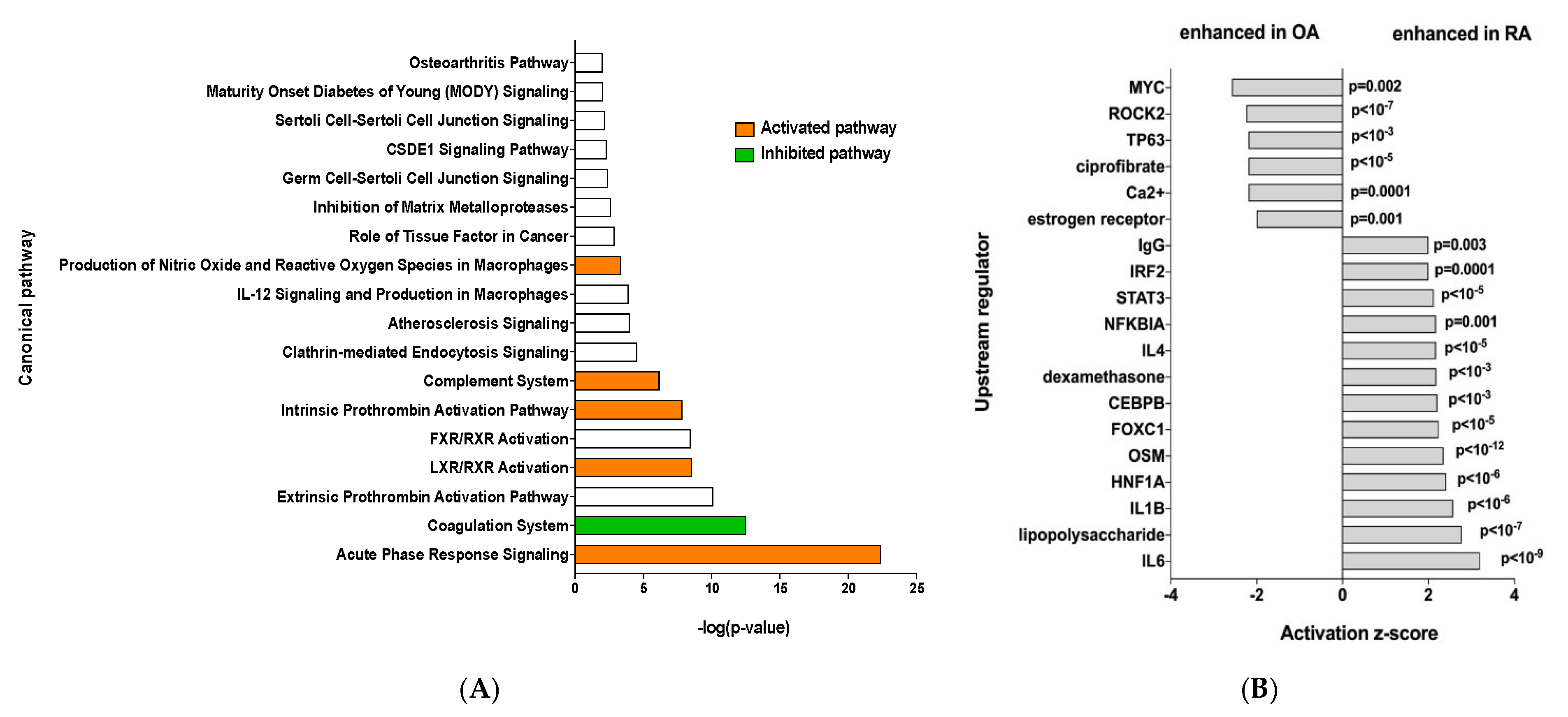 Biomedicines 13 01283 g002