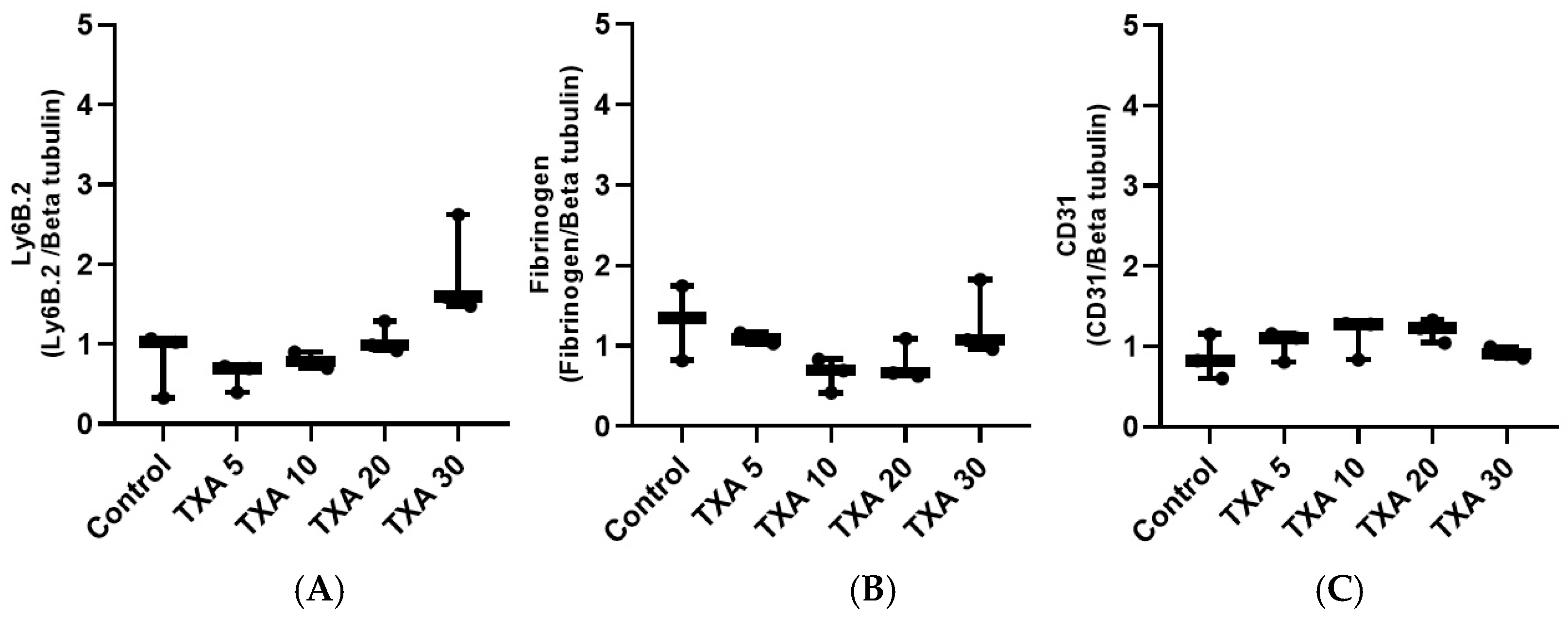 Biomedicines 13 01284 g016