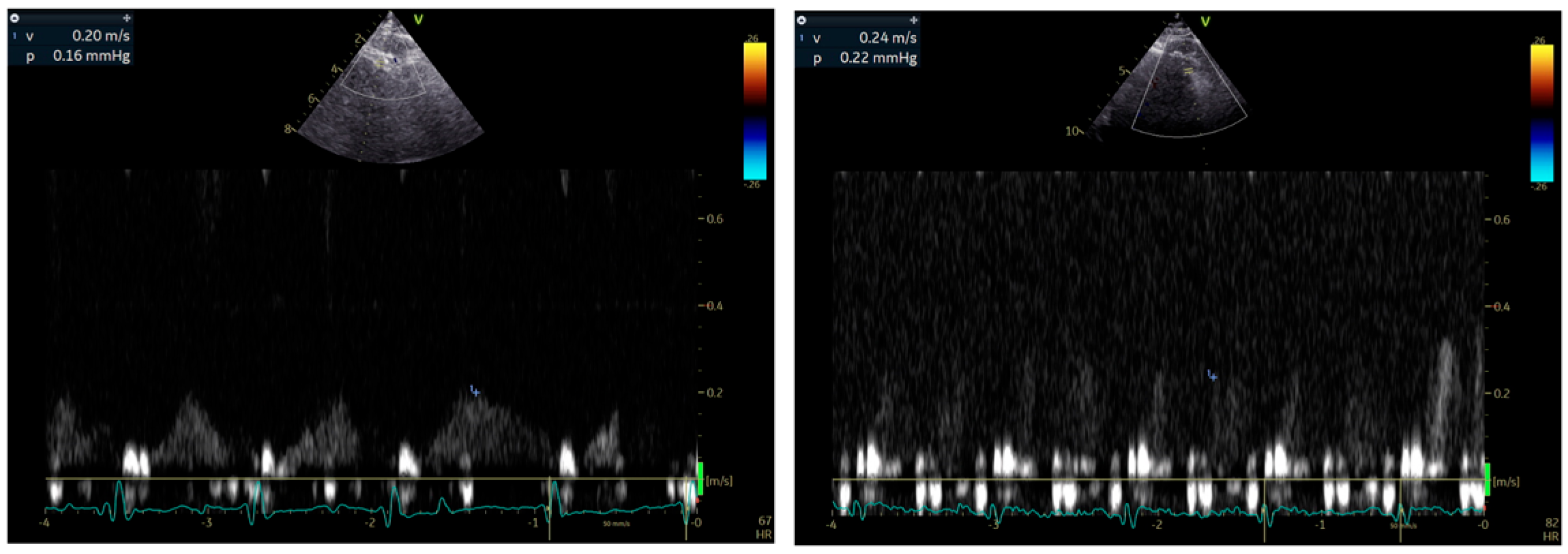 Biomedicines 13 01289 g002