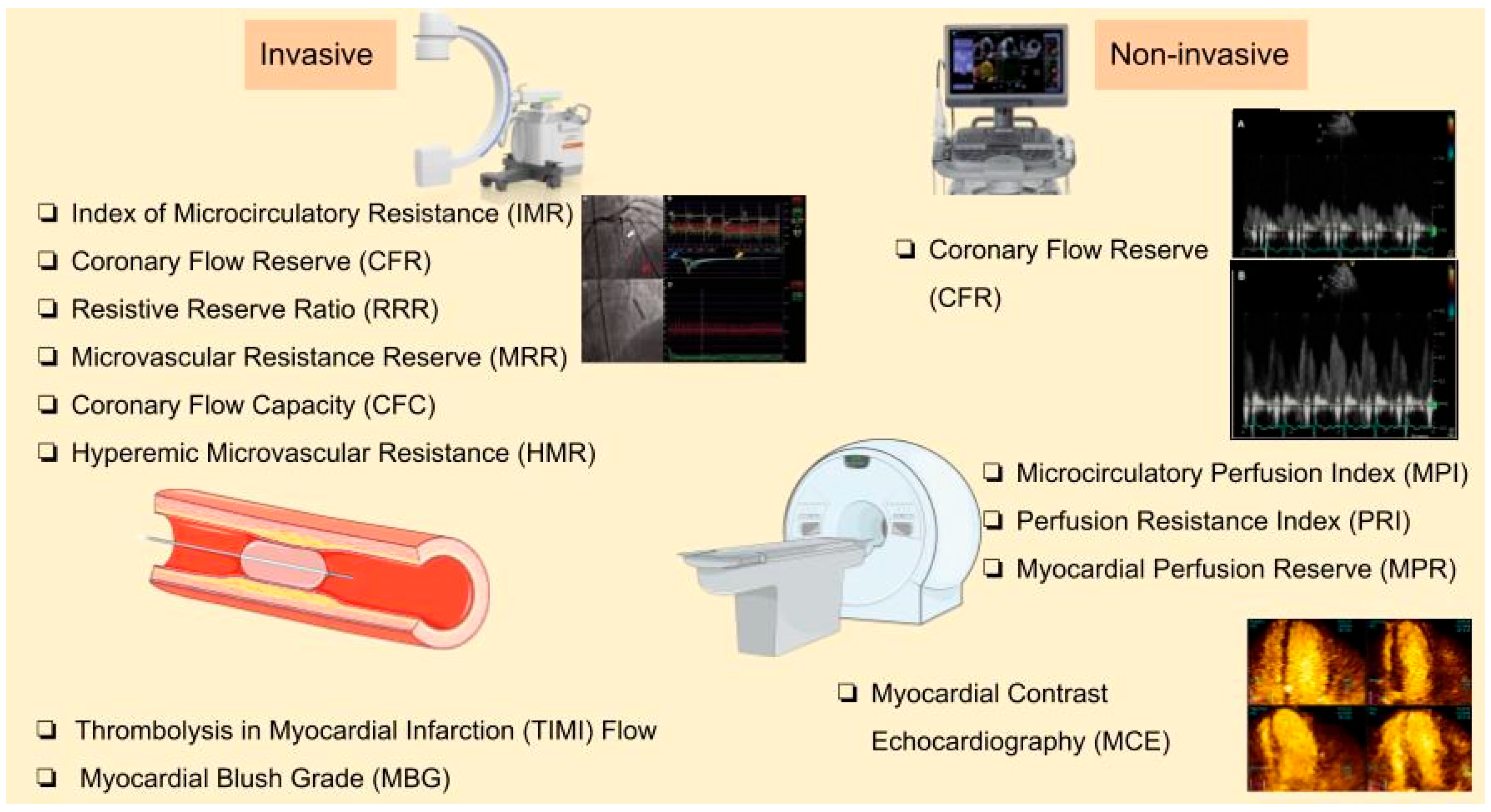 Biomedicines 13 01289 g003
