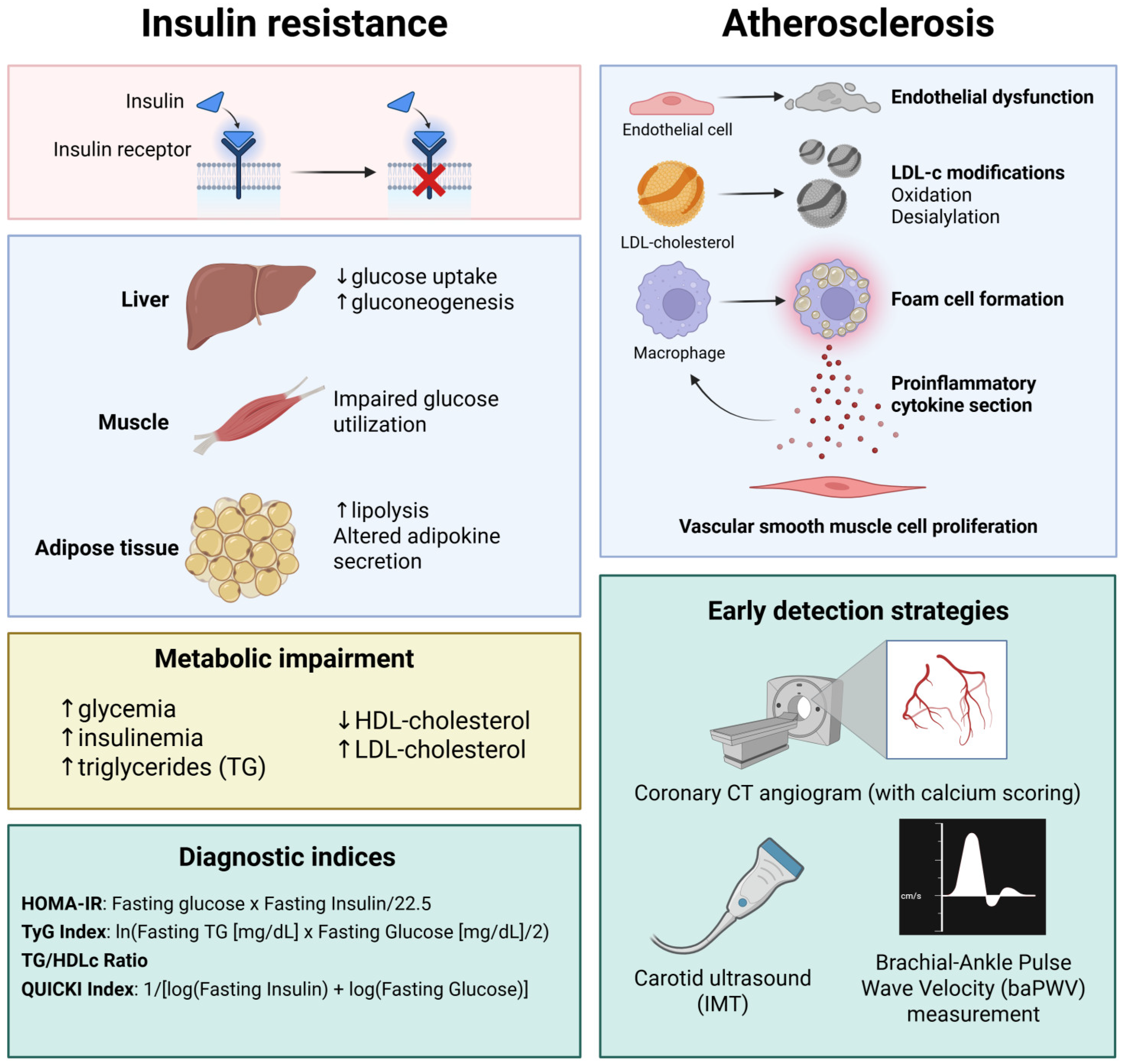 Biomedicines 13 01291 g001