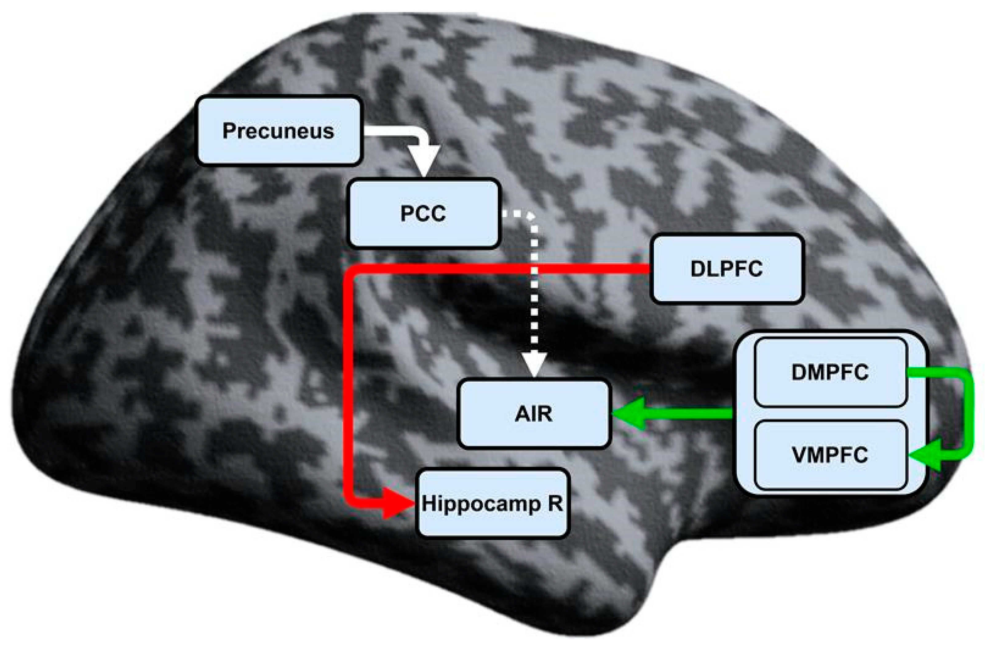 Biomedicines 13 01293 g001