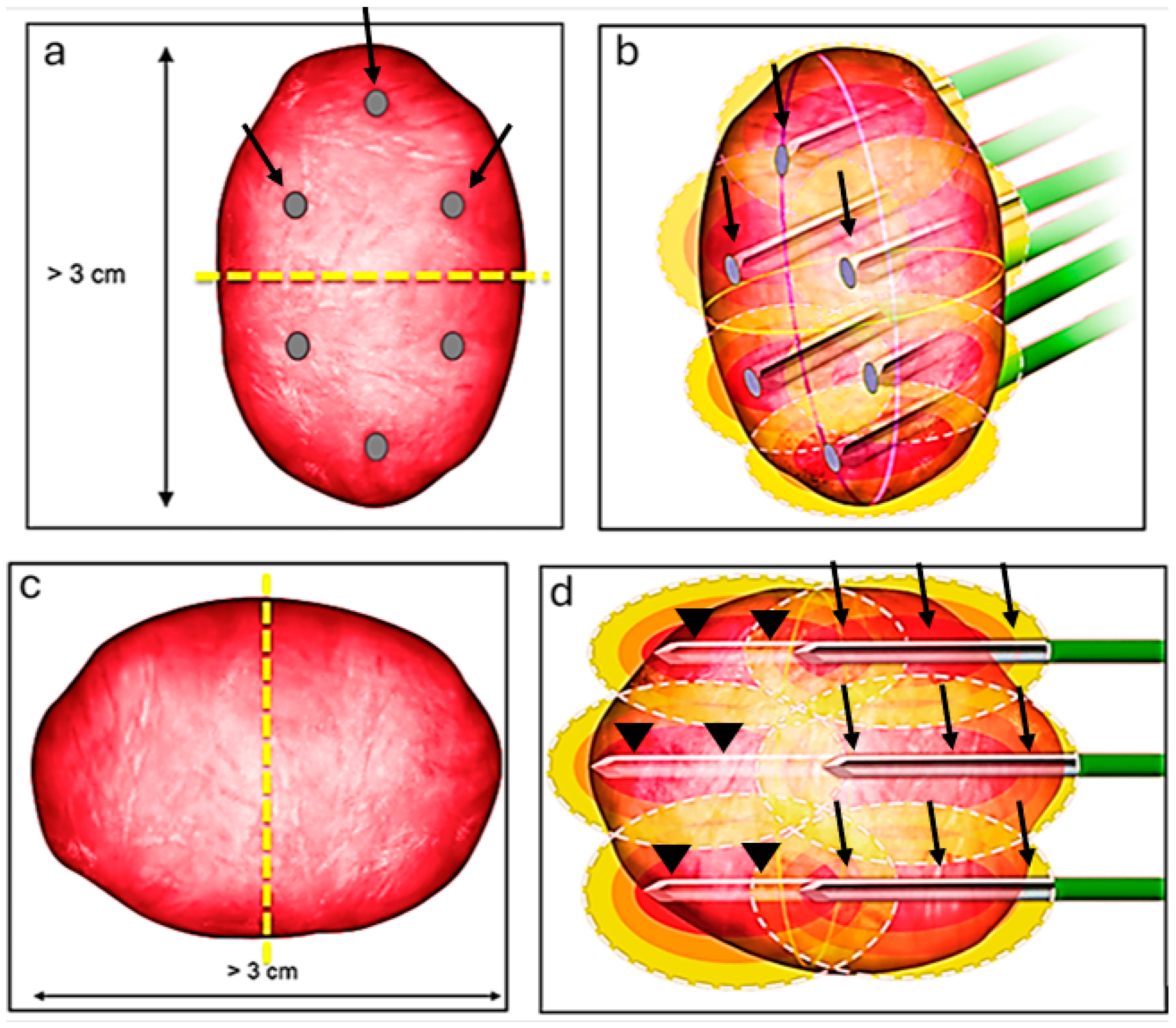 Biomedicines 13 01296 g001