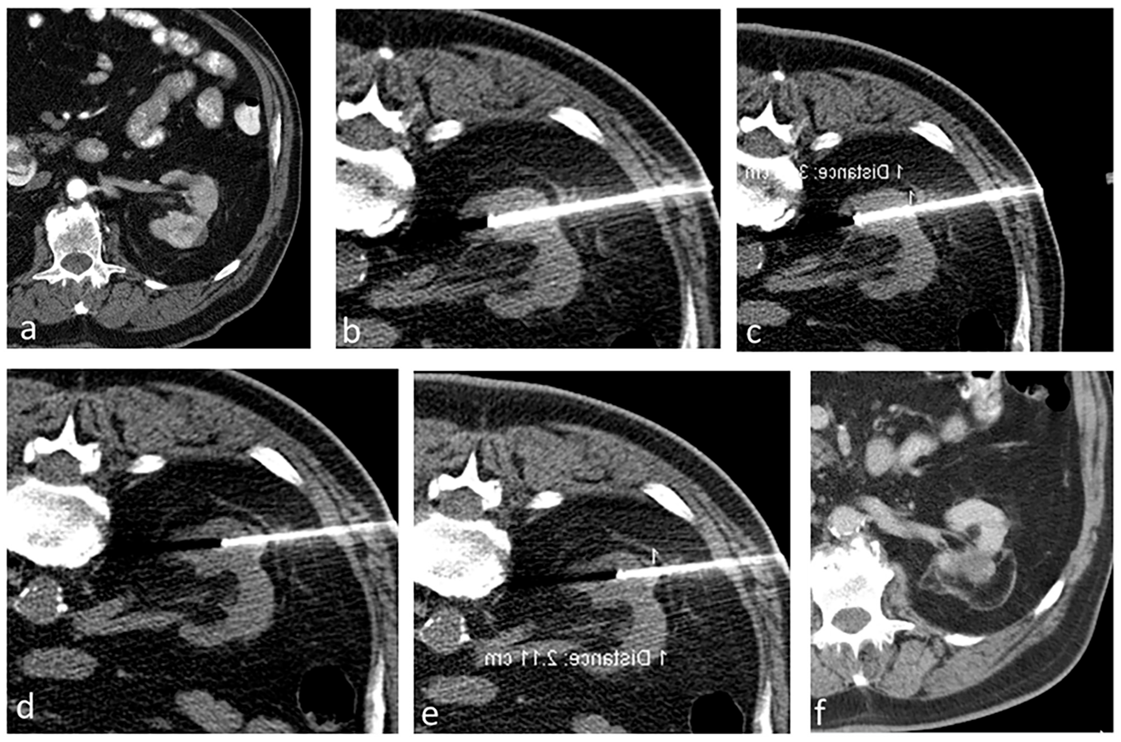 Biomedicines 13 01296 g002