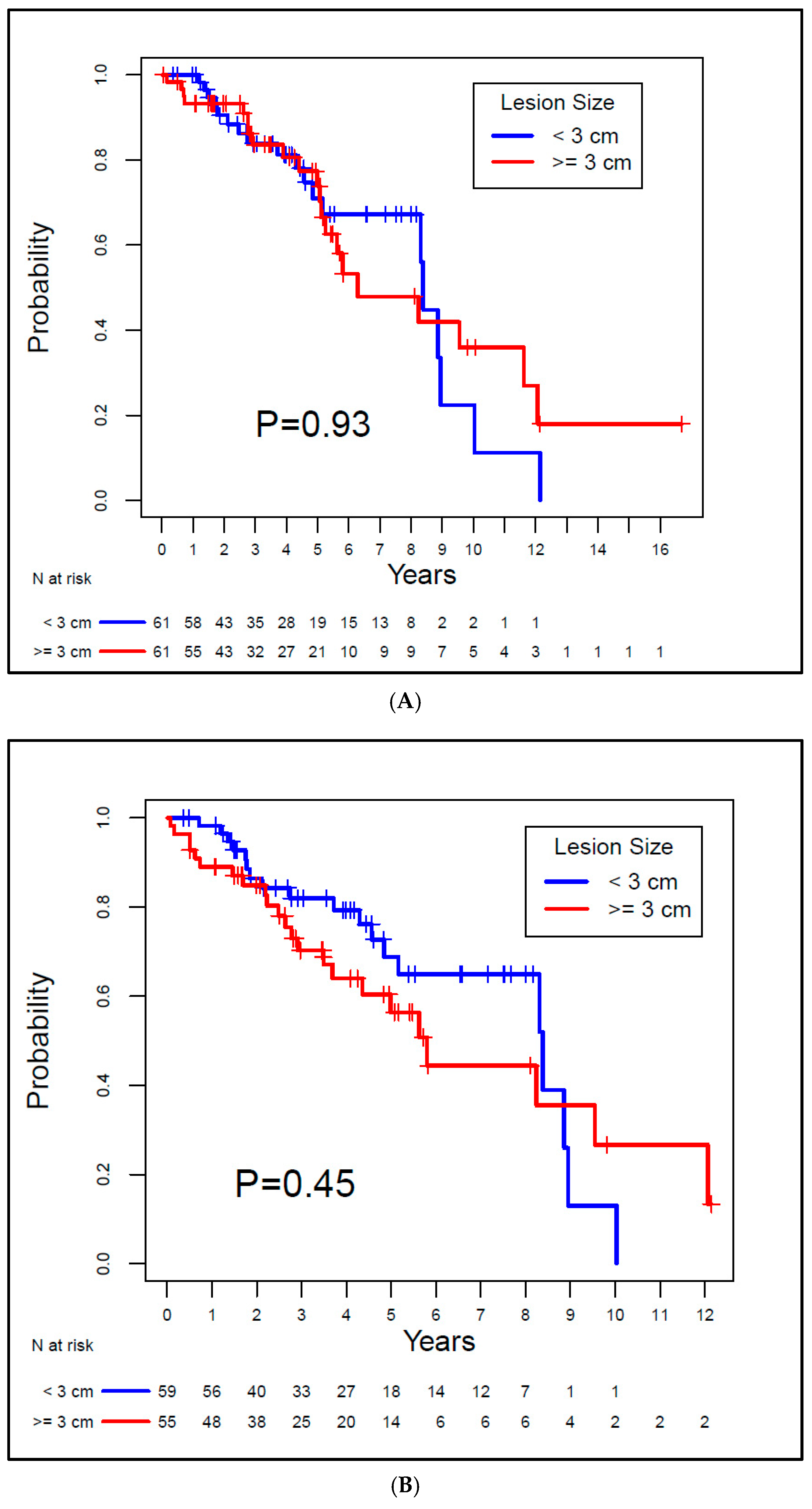 Biomedicines 13 01296 g003a