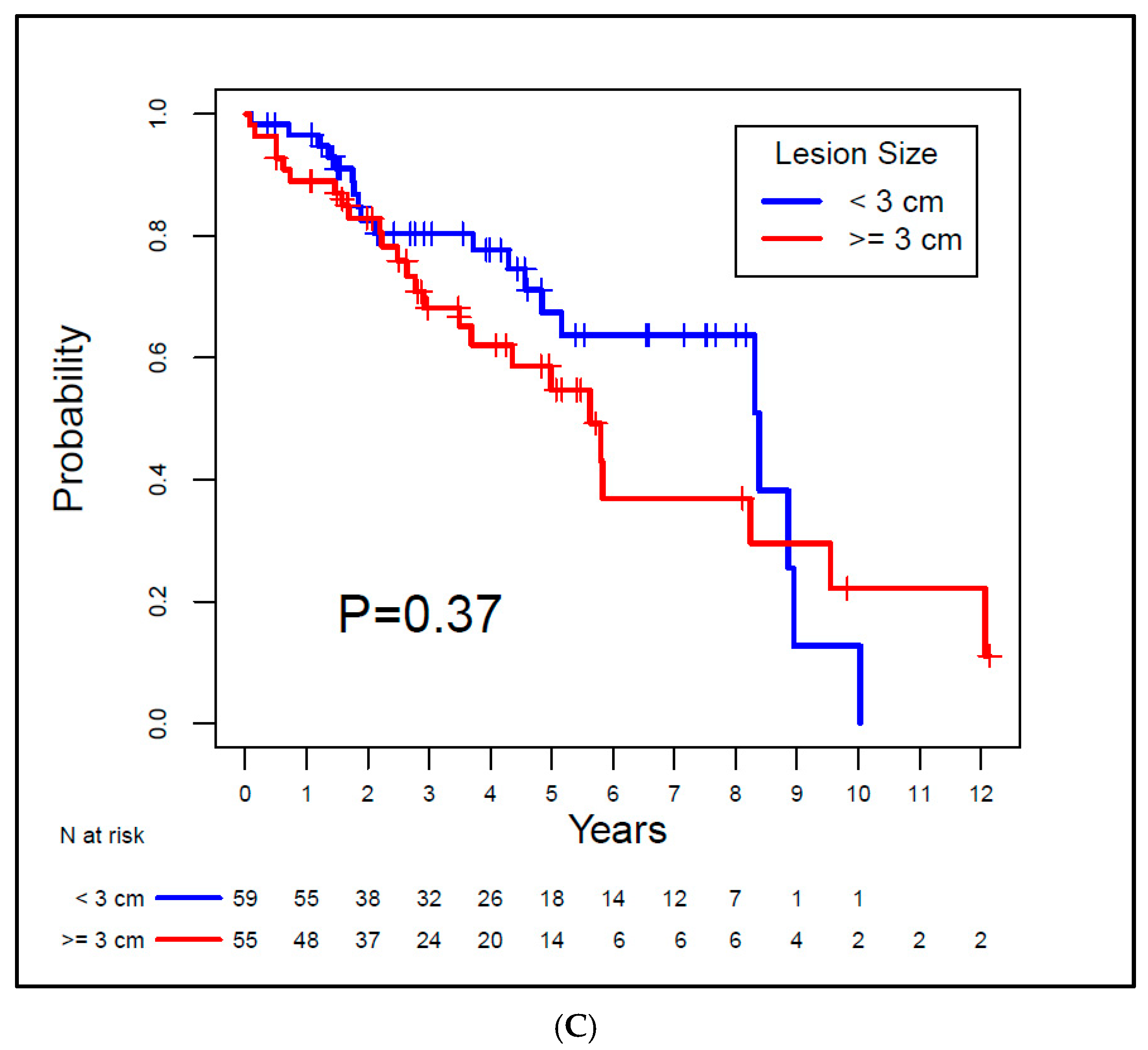 Biomedicines 13 01296 g003b