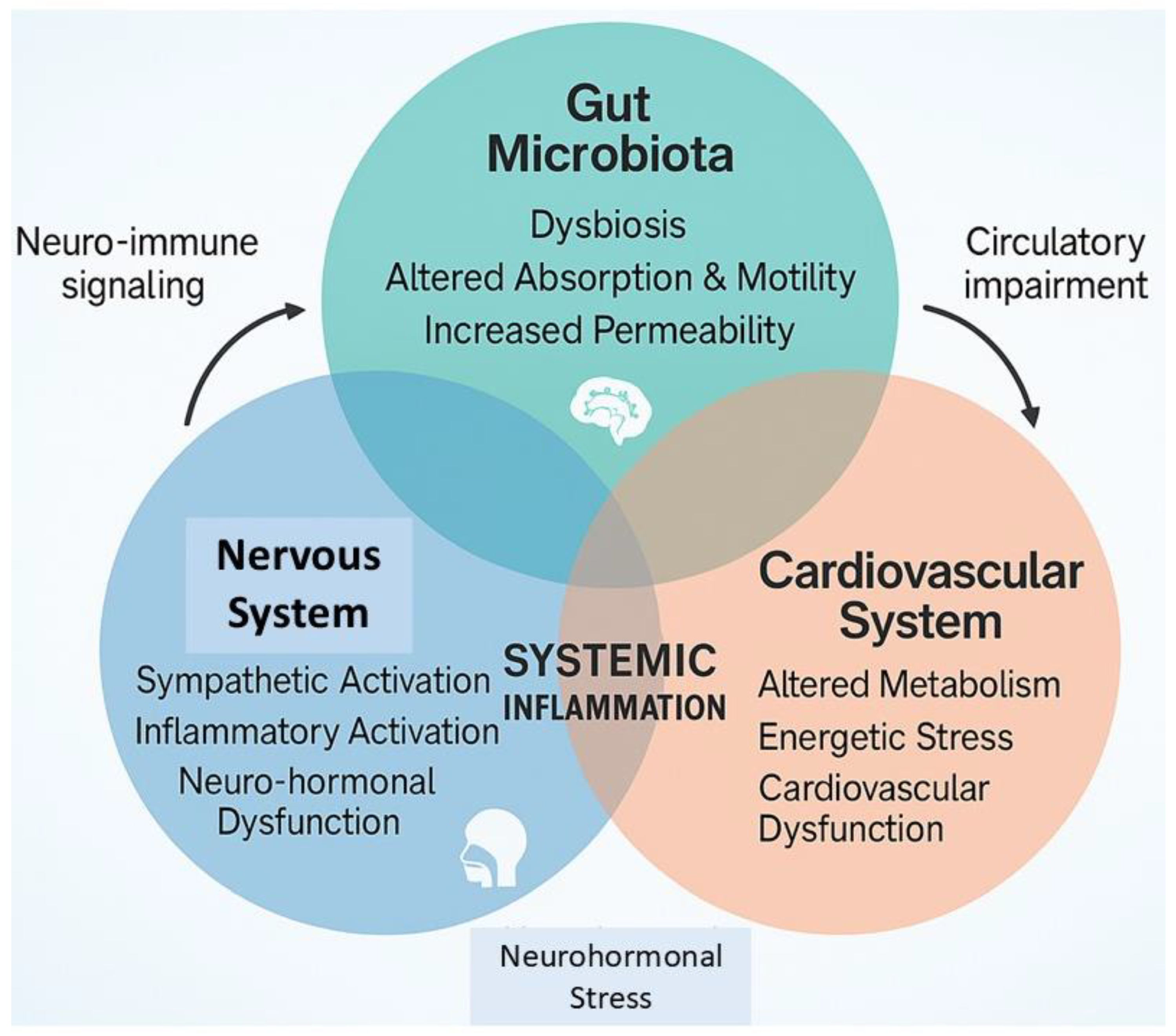 Biomedicines 13 01297 g001 Biomedicines 13 01297 g001