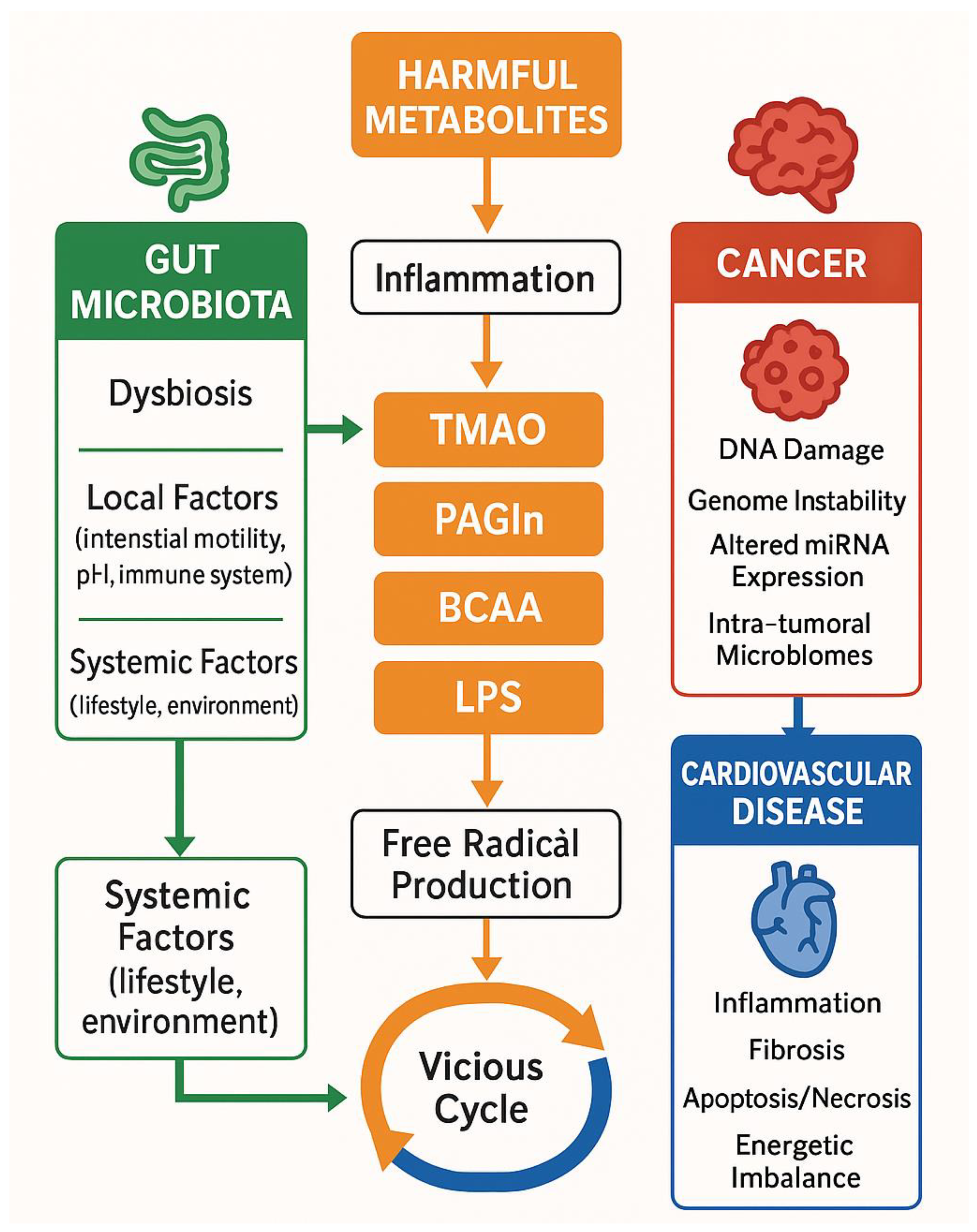 Biomedicines 13 01297 g002 Biomedicines 13 01297 g002
