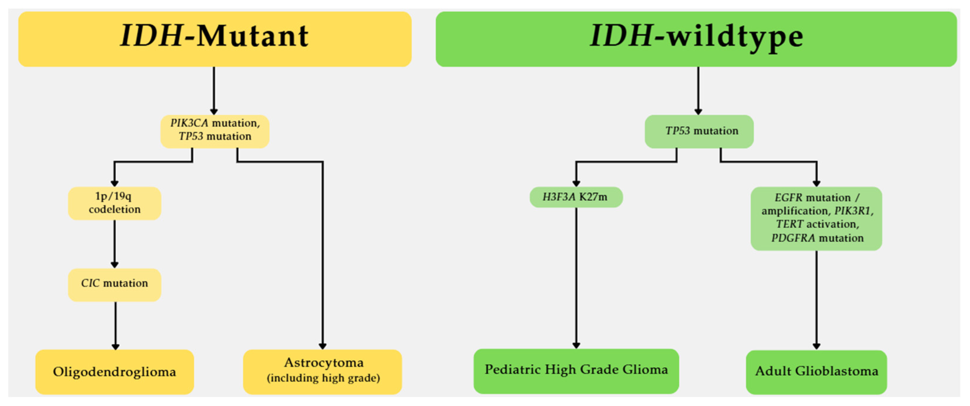 Biomedicines 13 01298 g002
