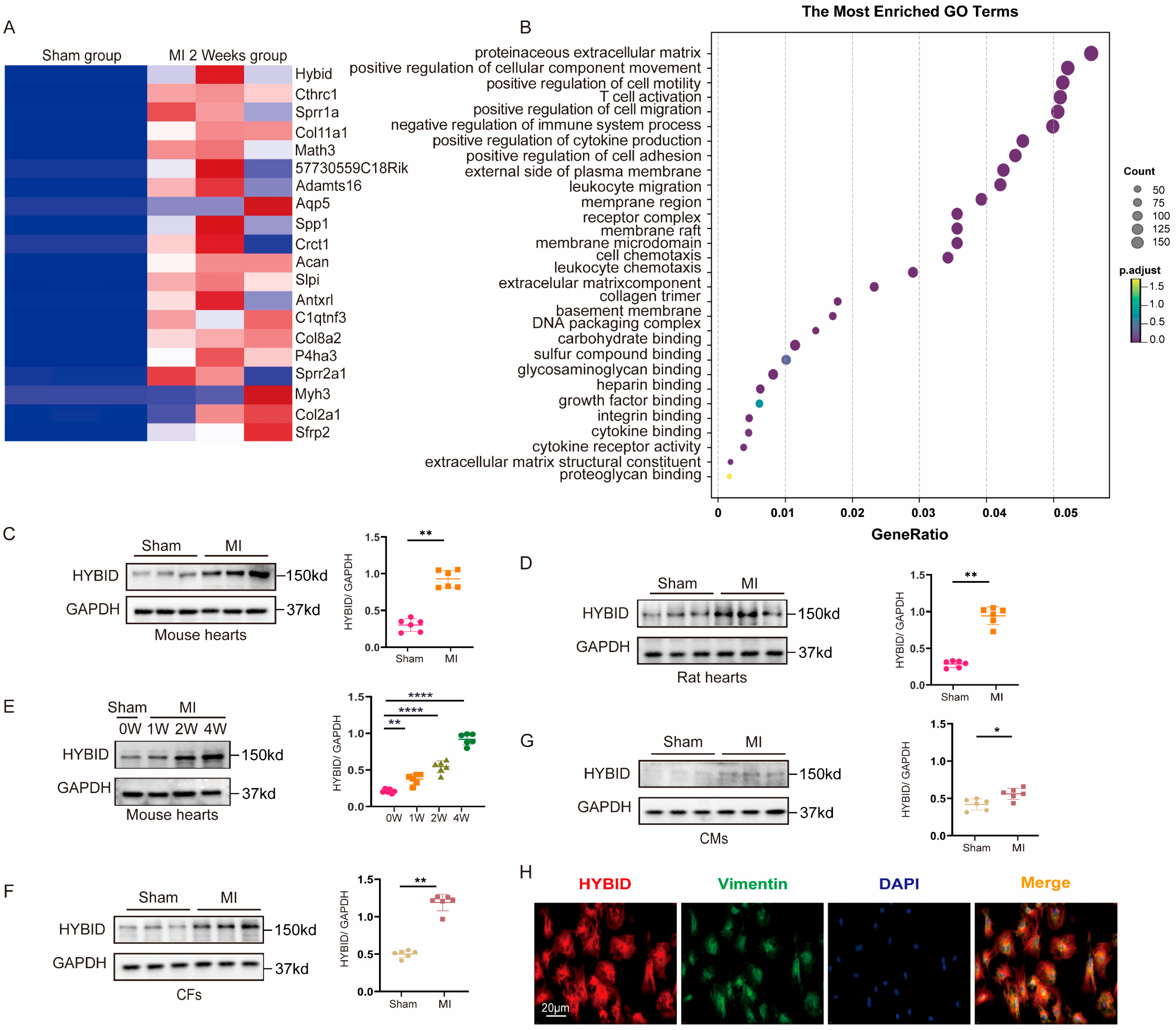 Biomedicines 13 01302 g001 Biomedicines 13 01302 g001