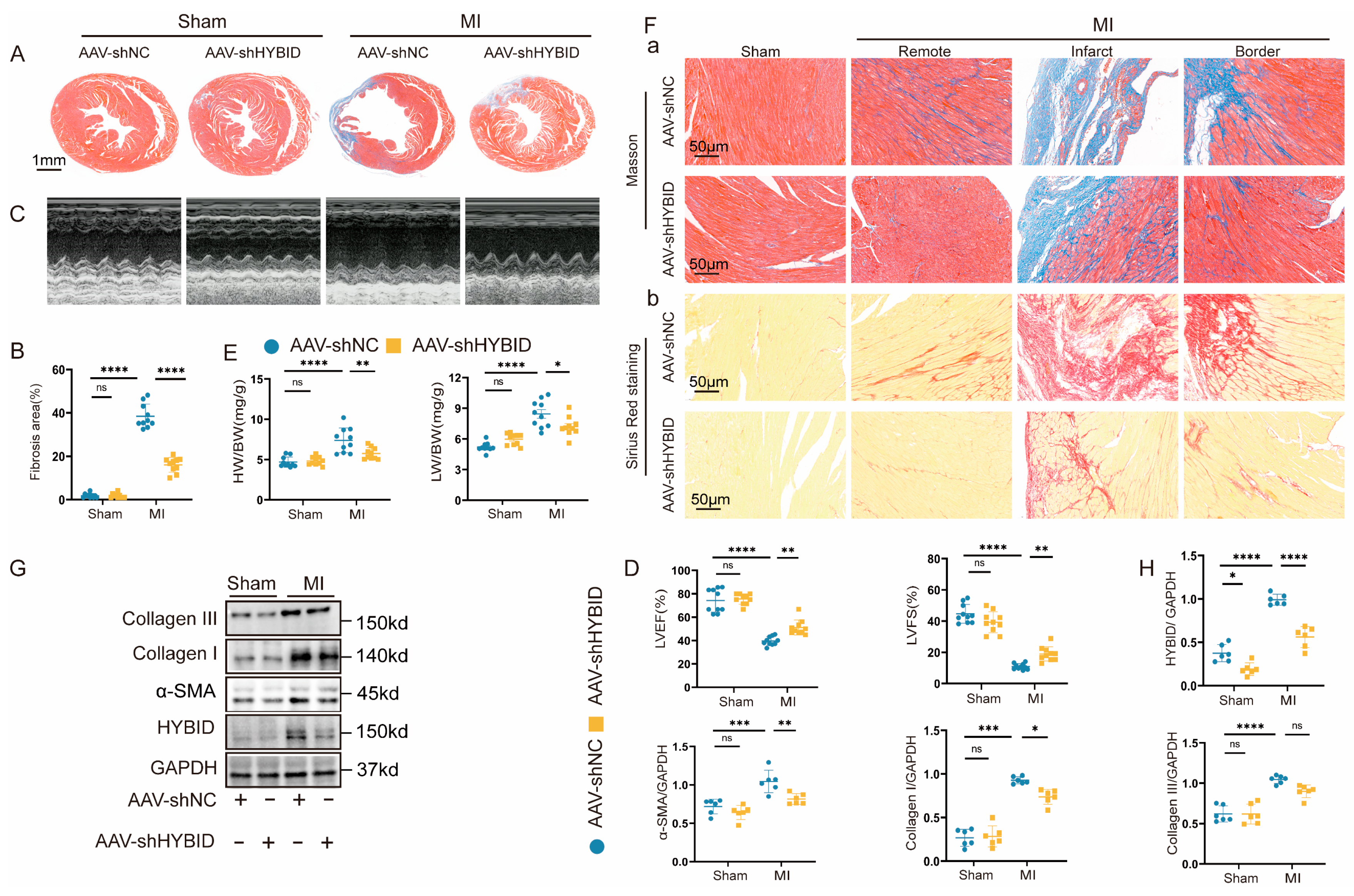 Biomedicines 13 01302 g002 Biomedicines 13 01302 g002