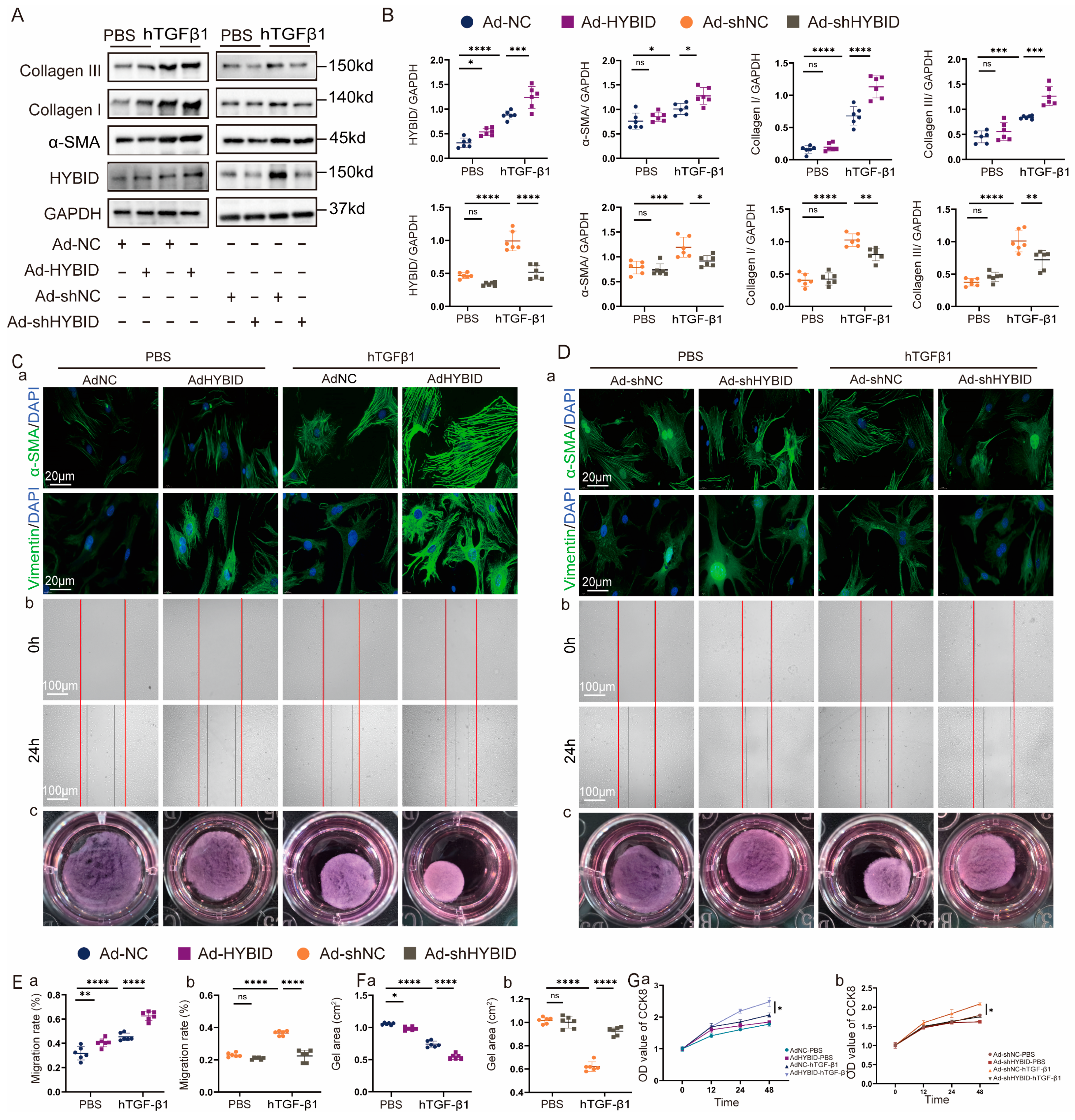 Biomedicines 13 01302 g004 Biomedicines 13 01302 g004