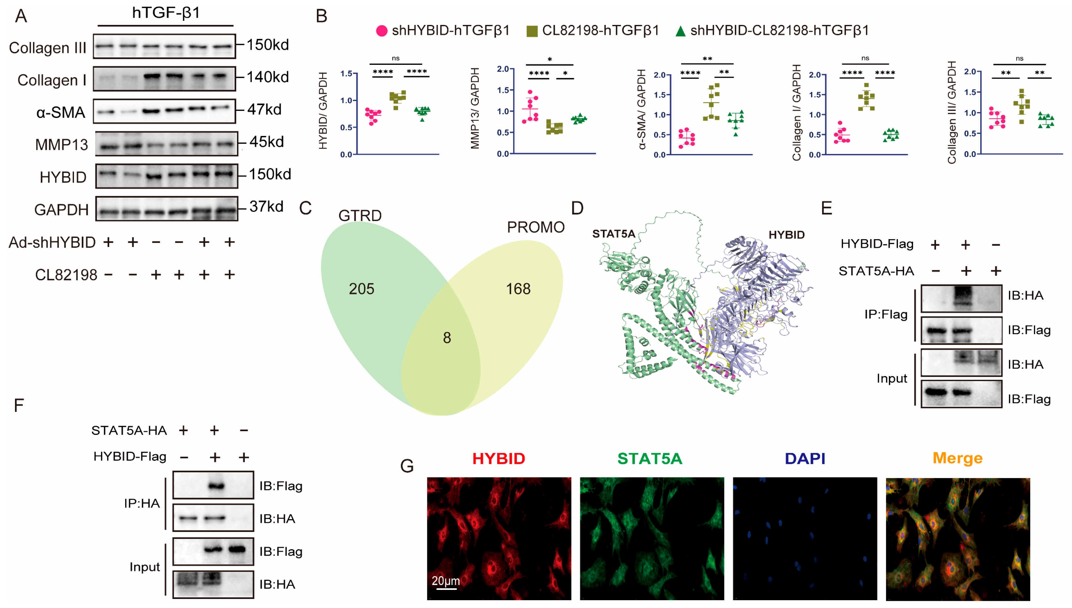 Biomedicines 13 01302 g006 Biomedicines 13 01302 g006
