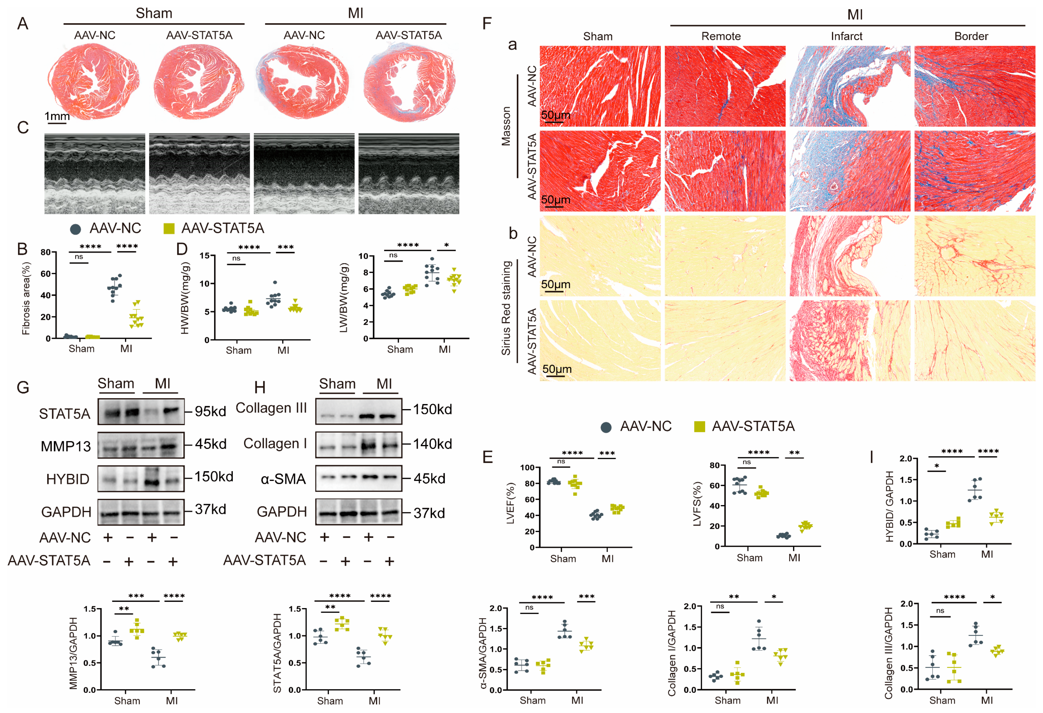 Biomedicines 13 01302 g008 Biomedicines 13 01302 g008
