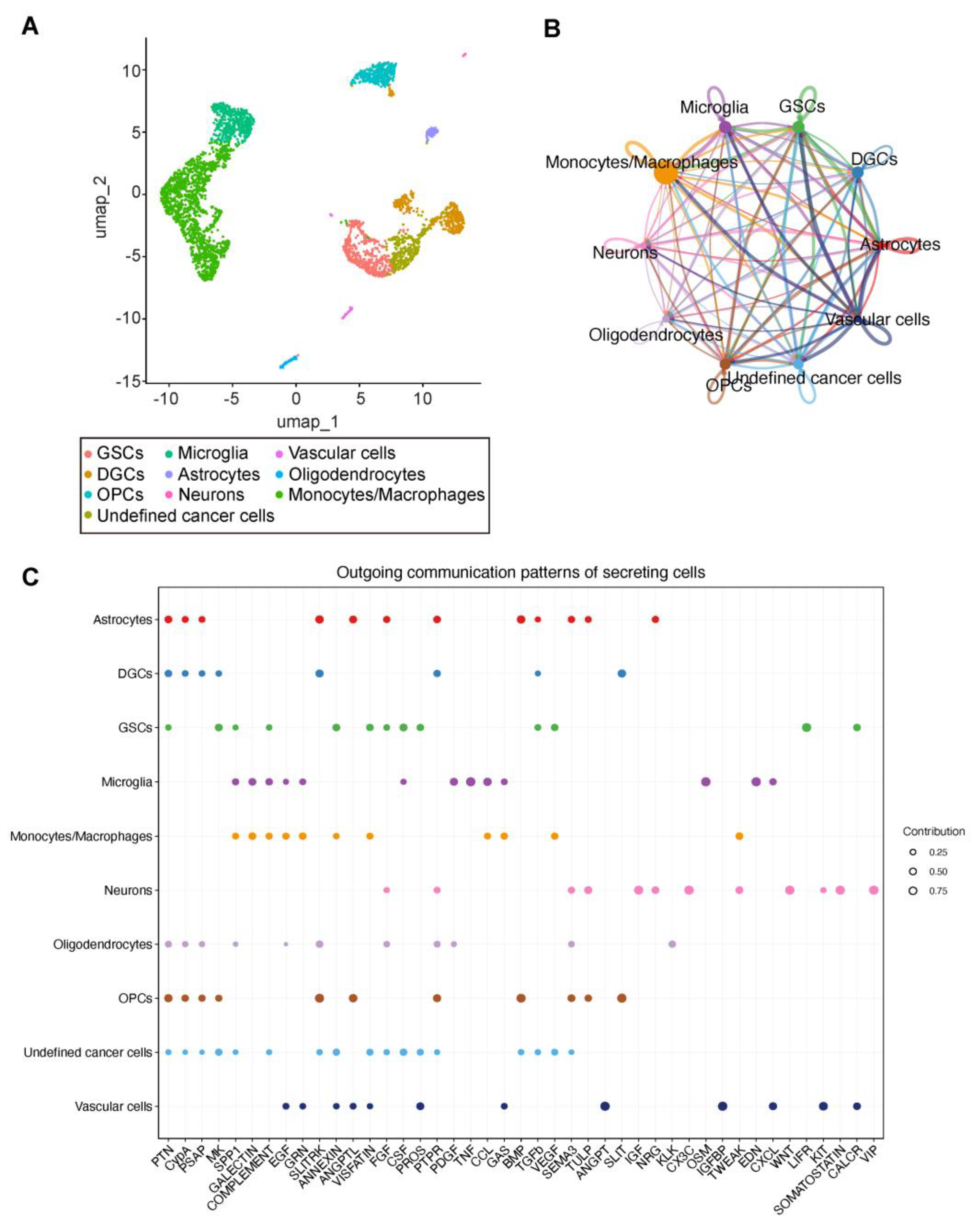 Biomedicines 13 01304 g001