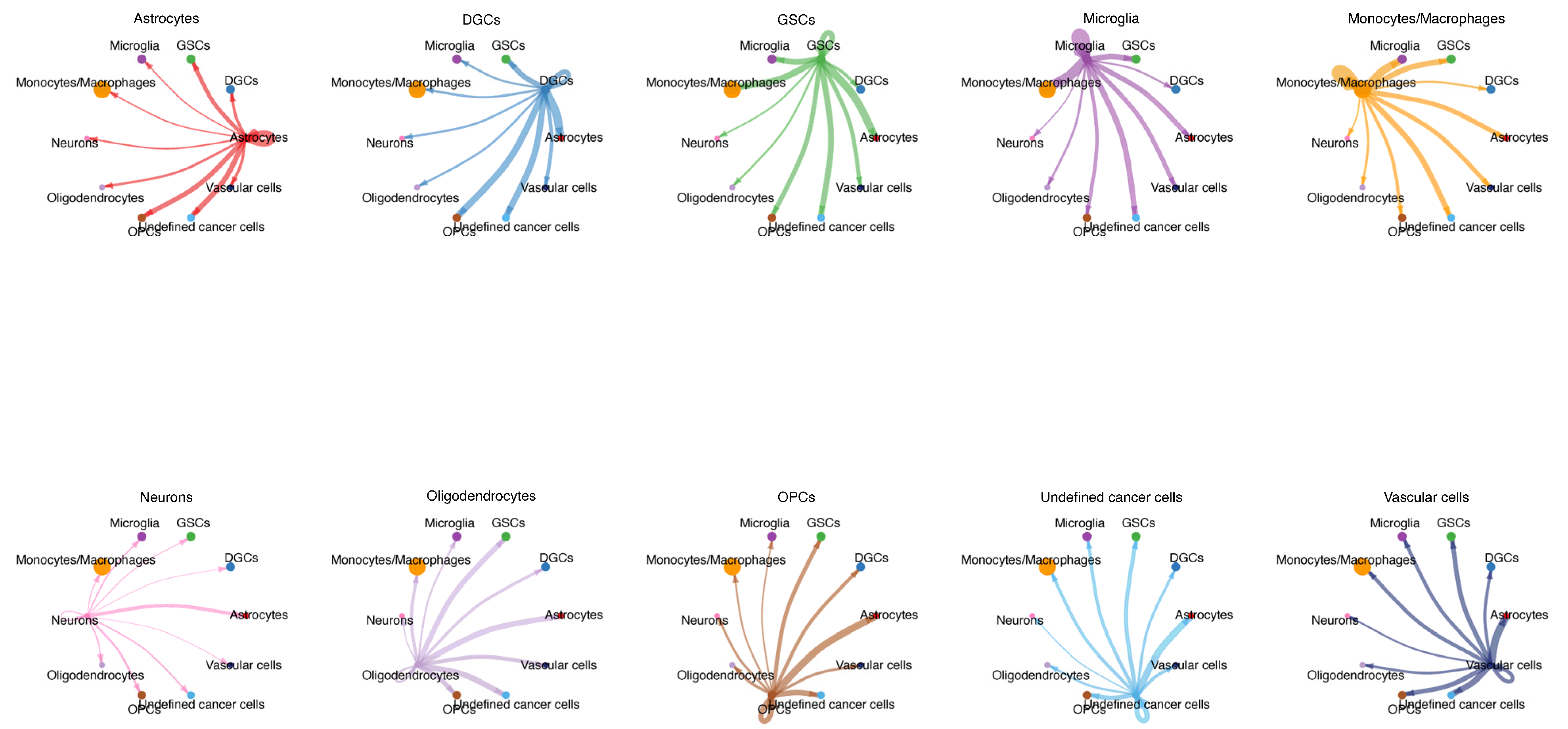 Biomedicines 13 01304 g002
