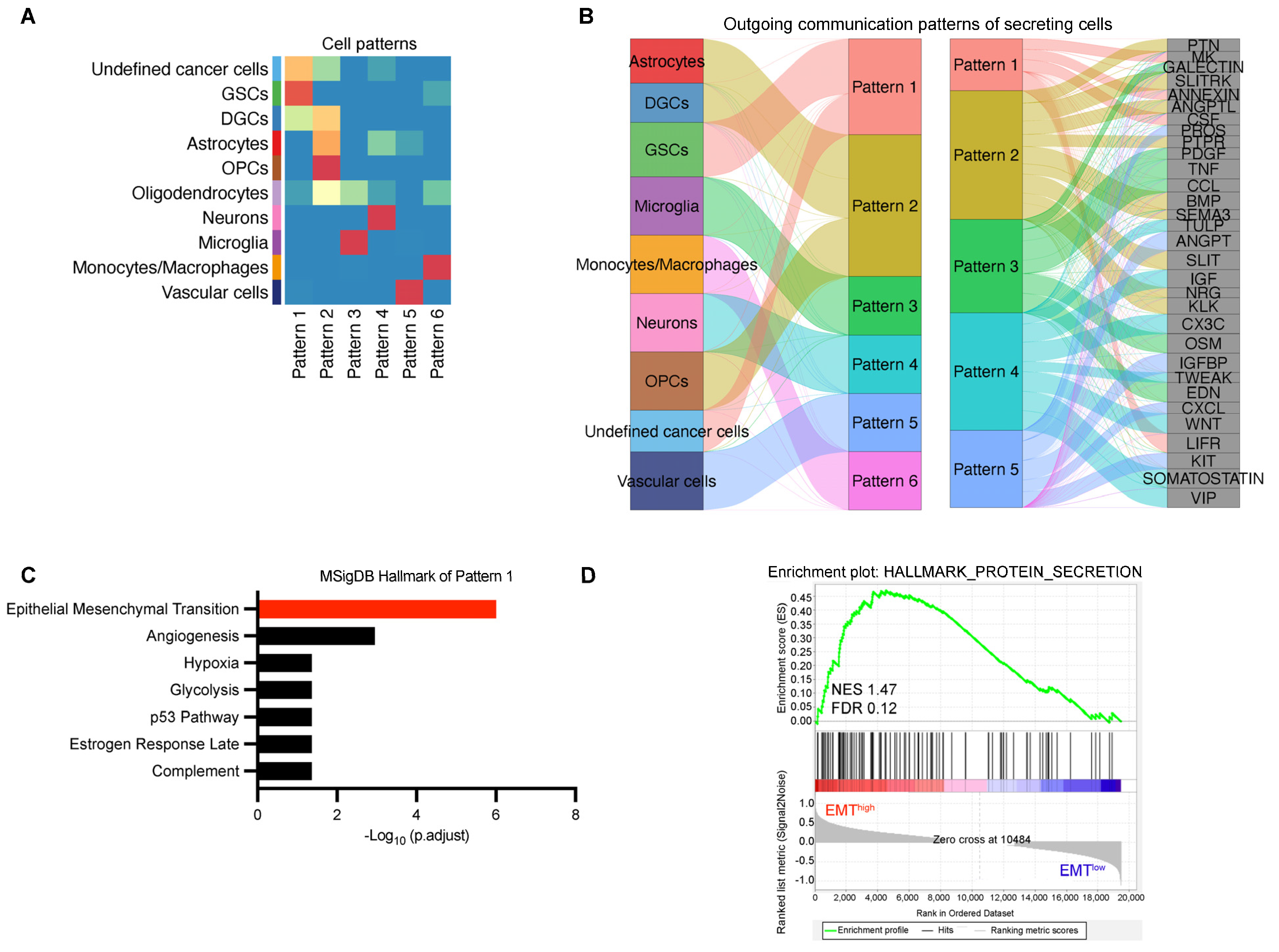 Biomedicines 13 01304 g003