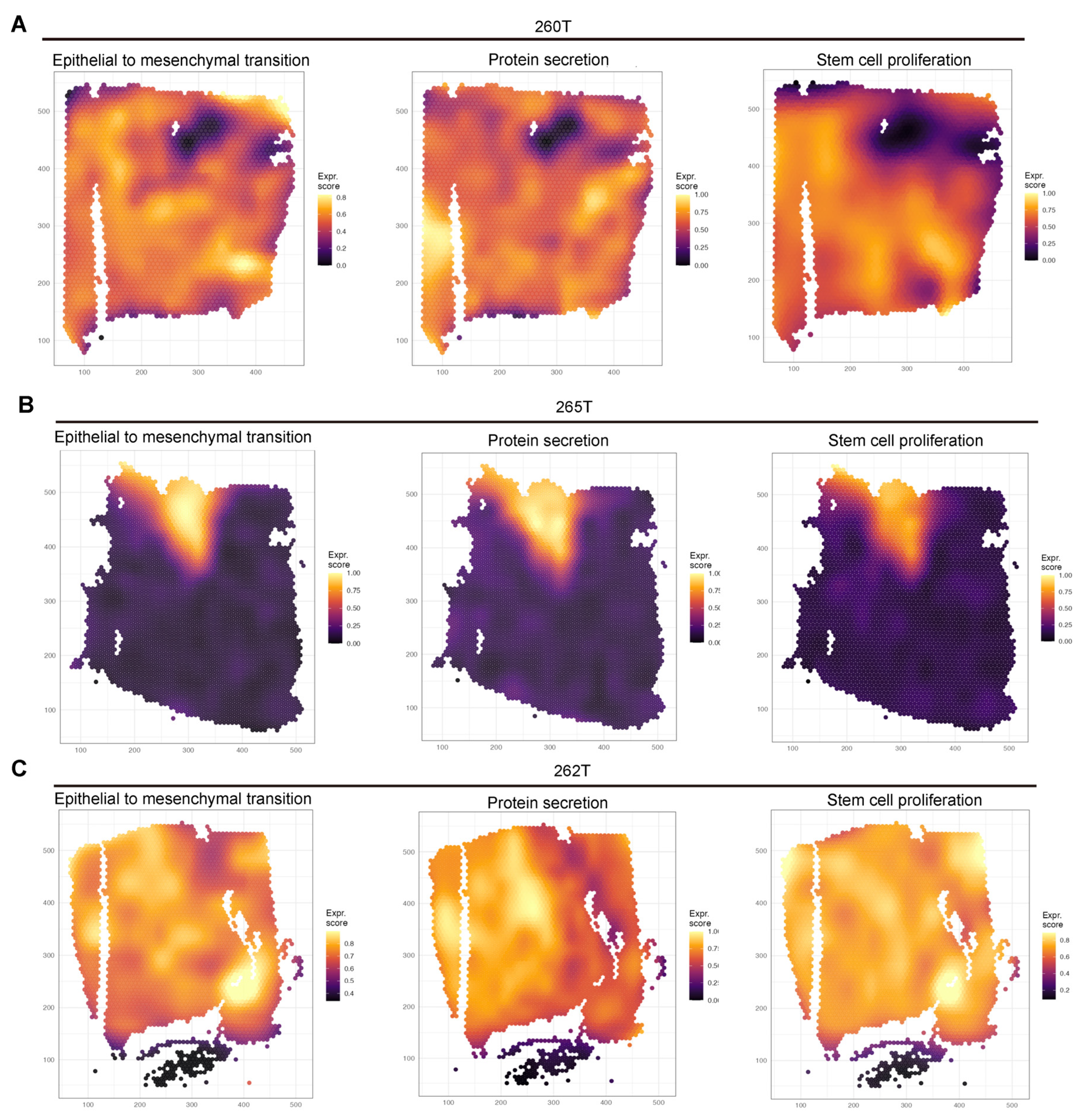 Biomedicines 13 01304 g004