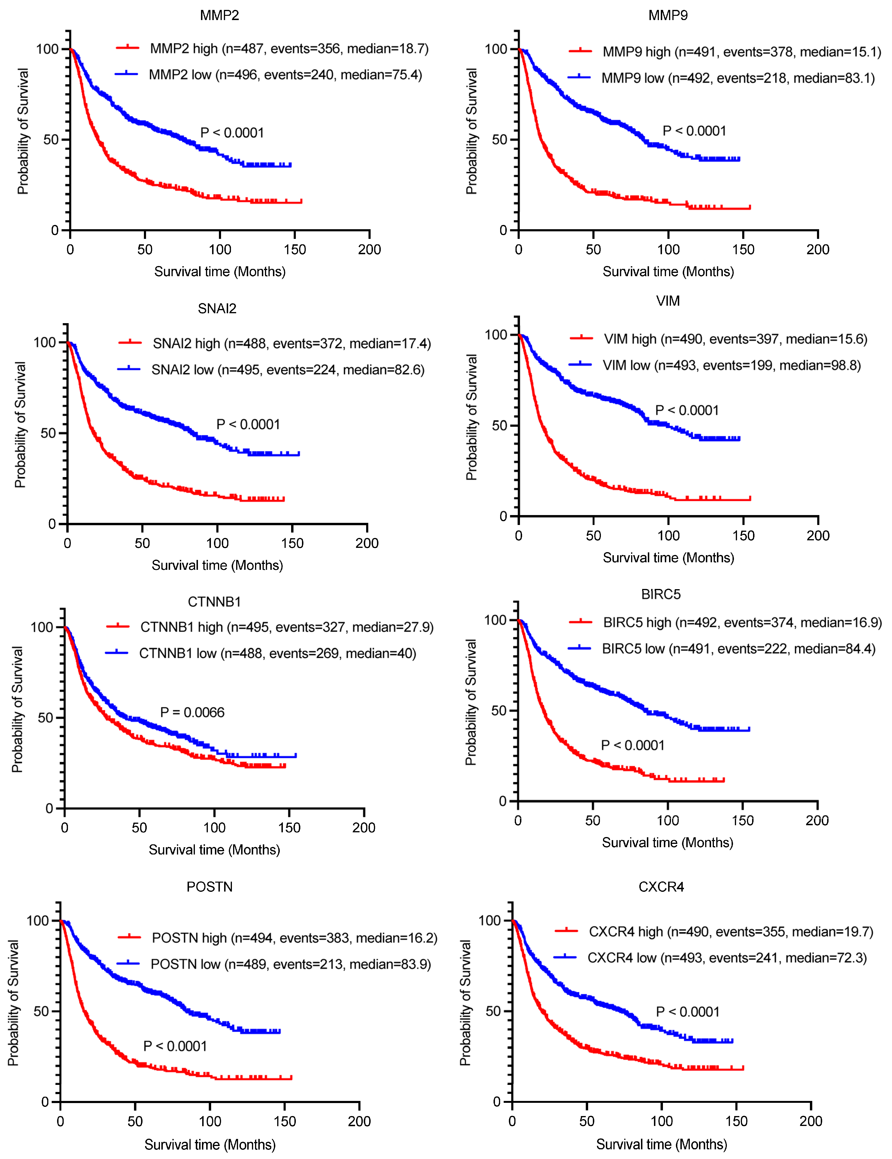 Biomedicines 13 01304 g006
