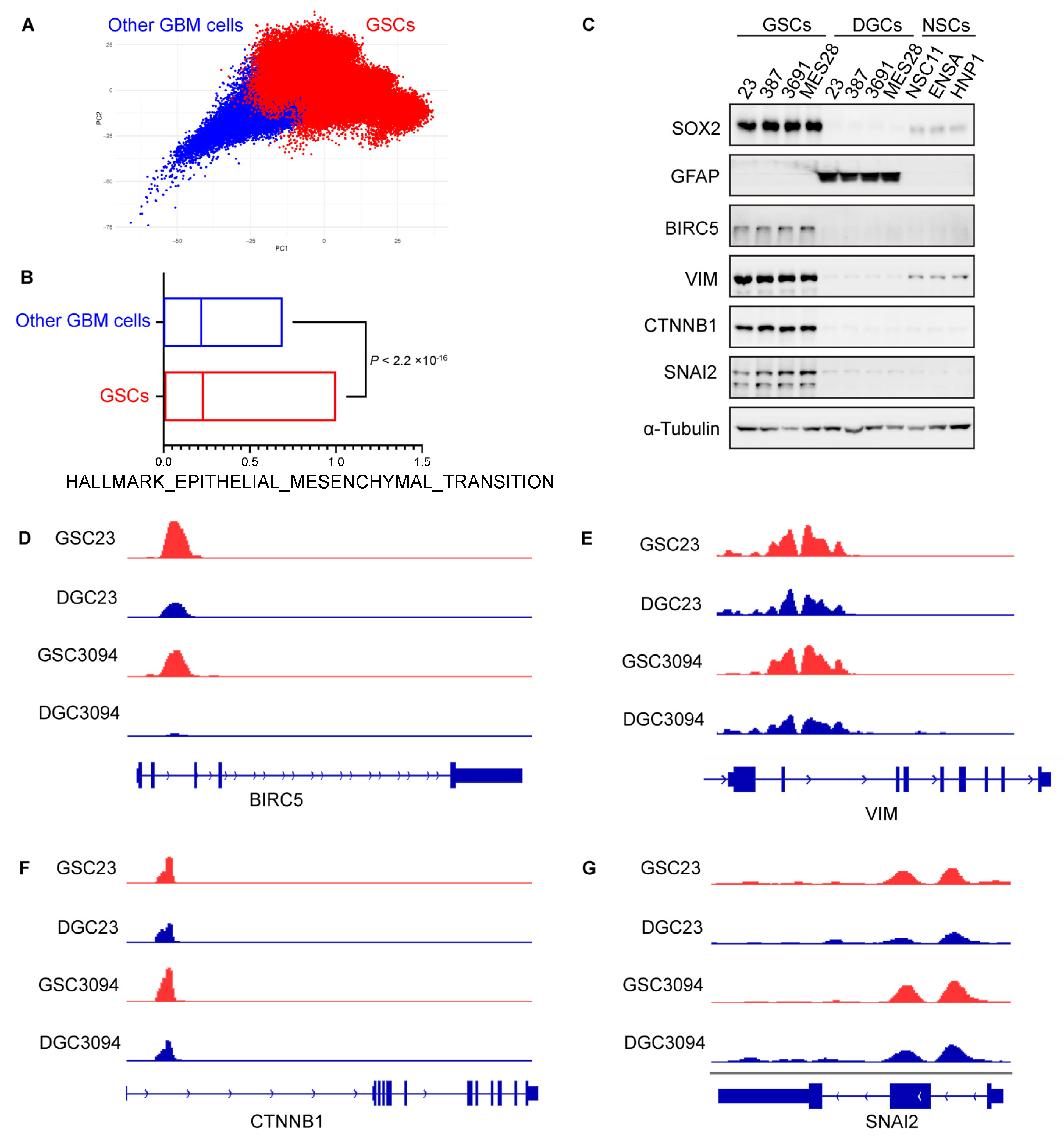 Biomedicines 13 01304 g007