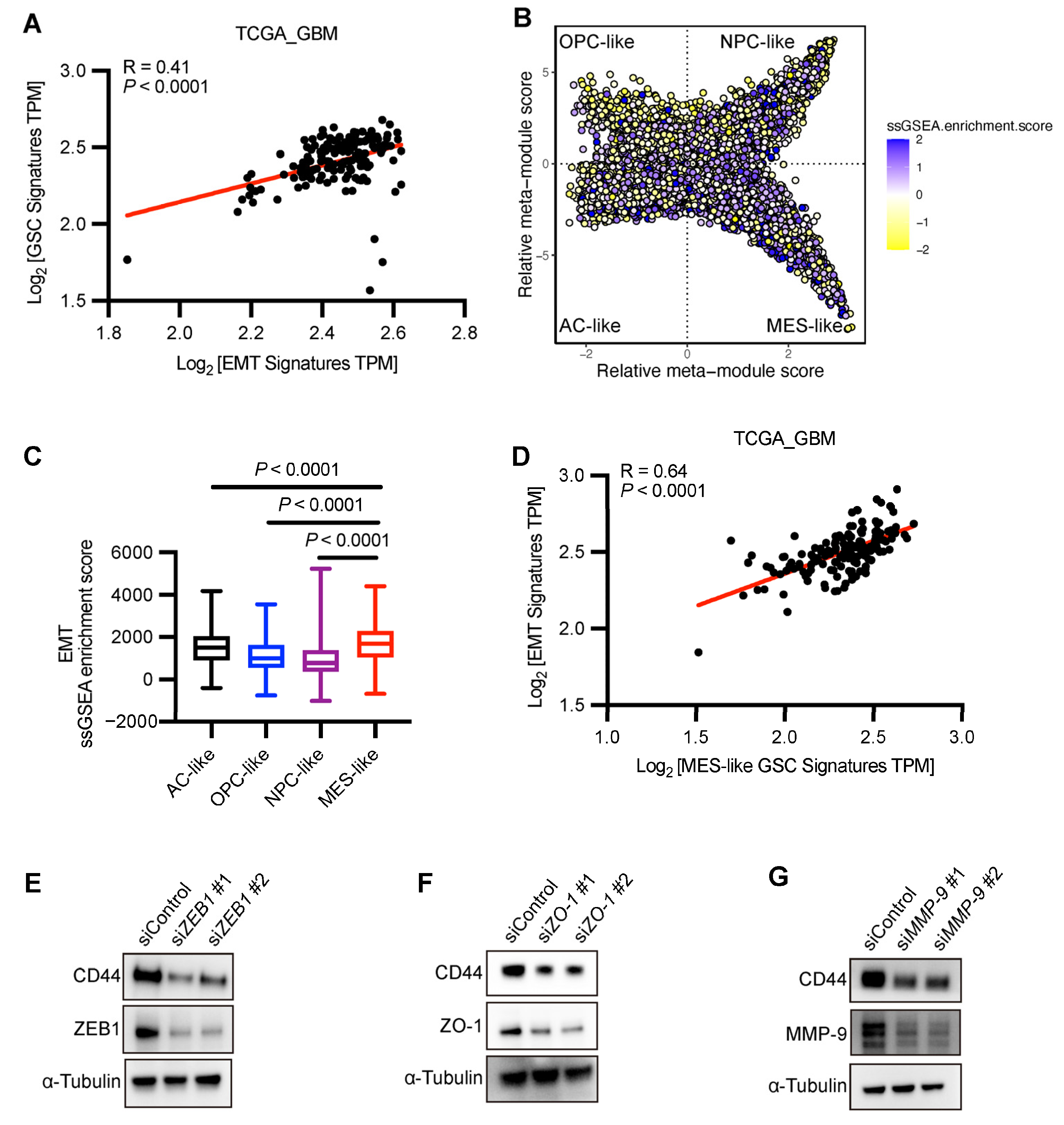 Biomedicines 13 01304 g008