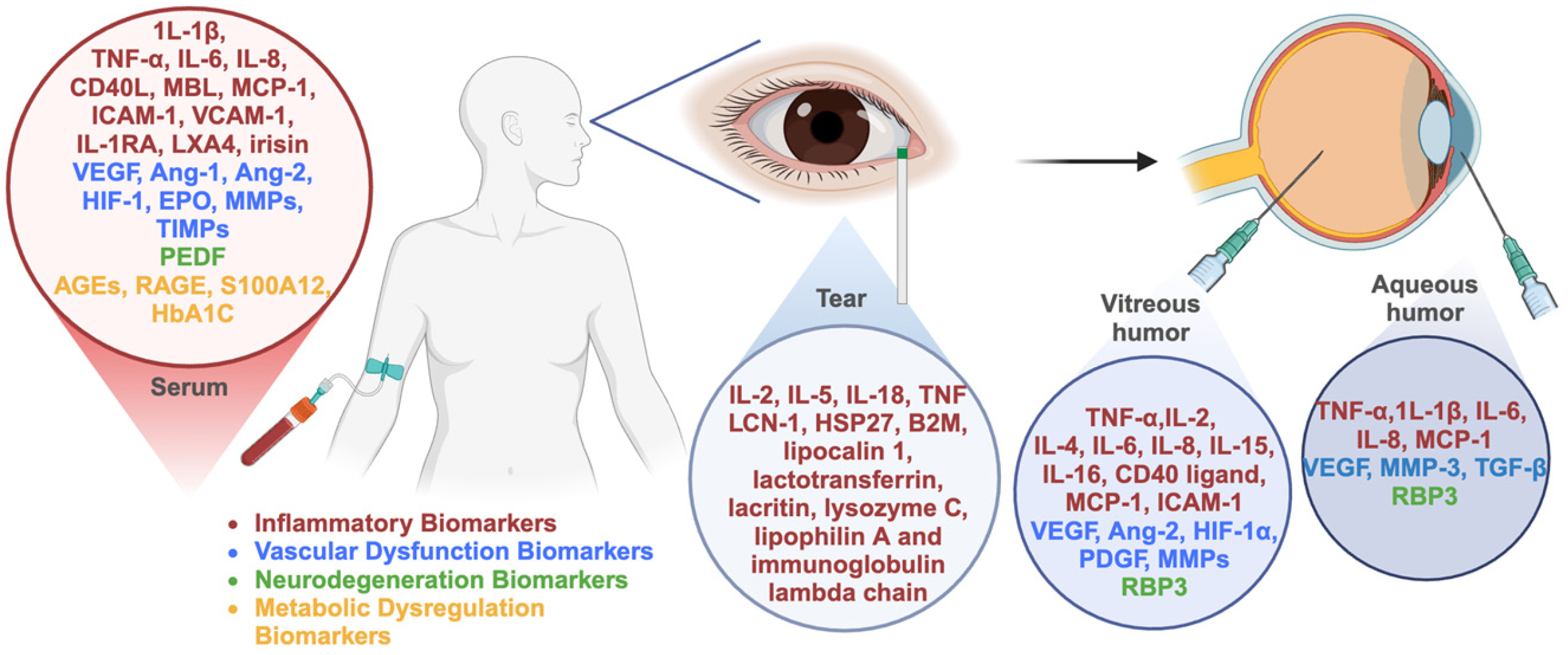 Biomedicines 13 01306 g001
