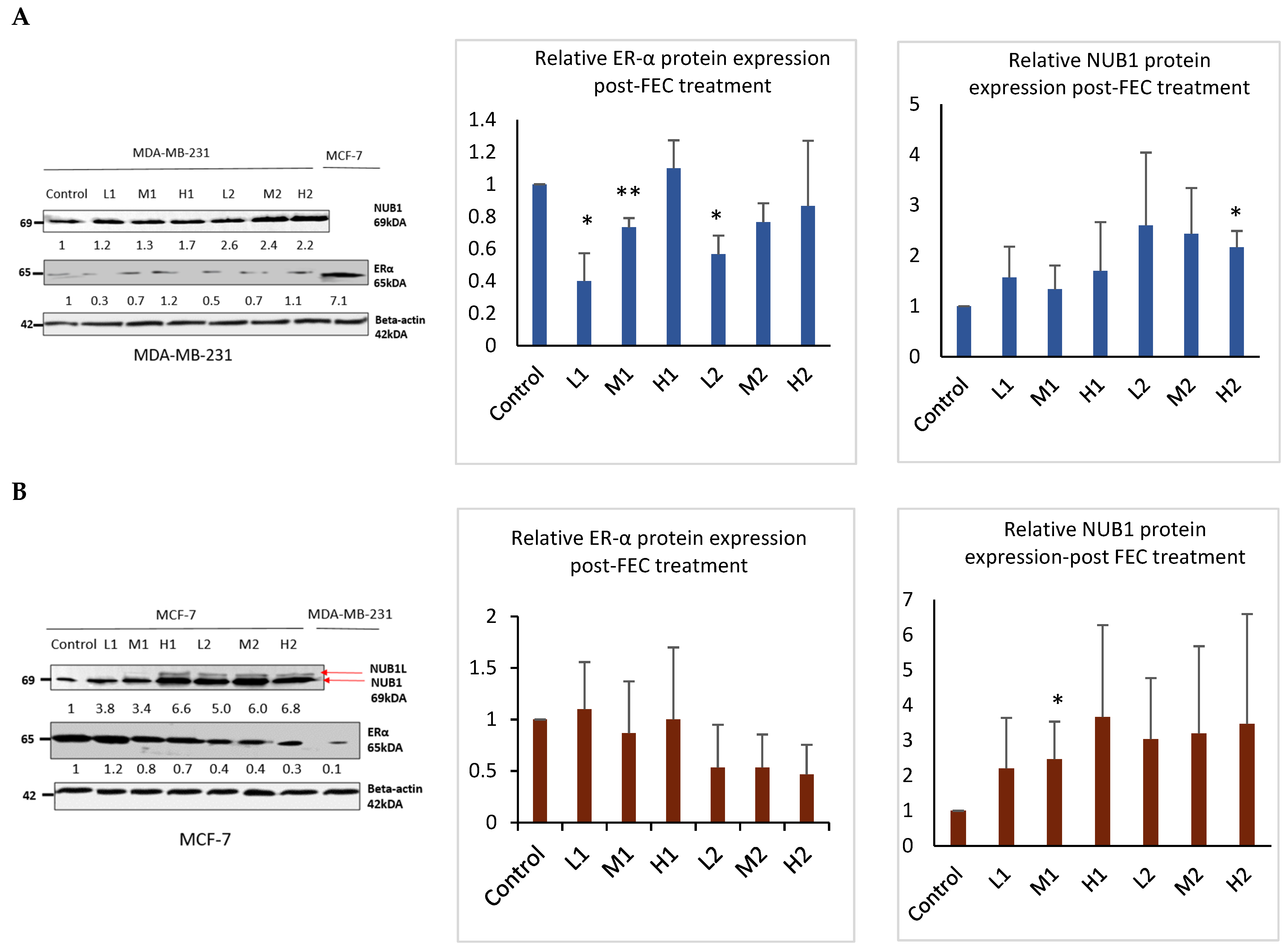 Biomedicines 13 01307 g002