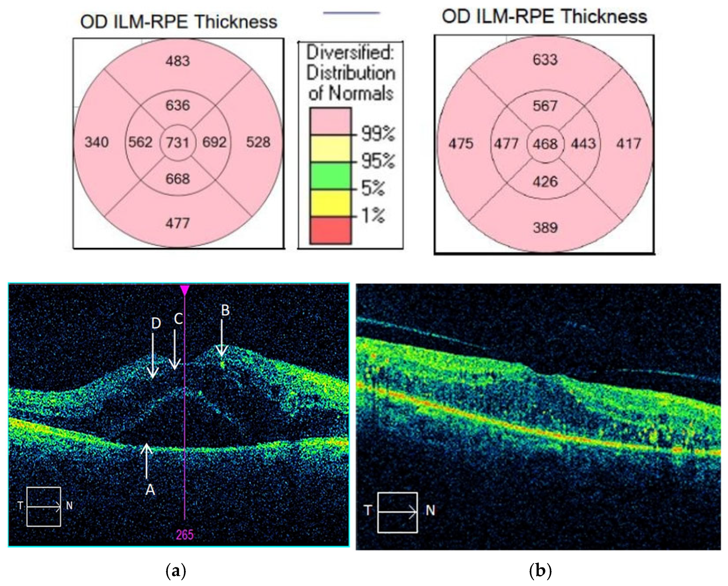 Biomedicines 13 01308 g002