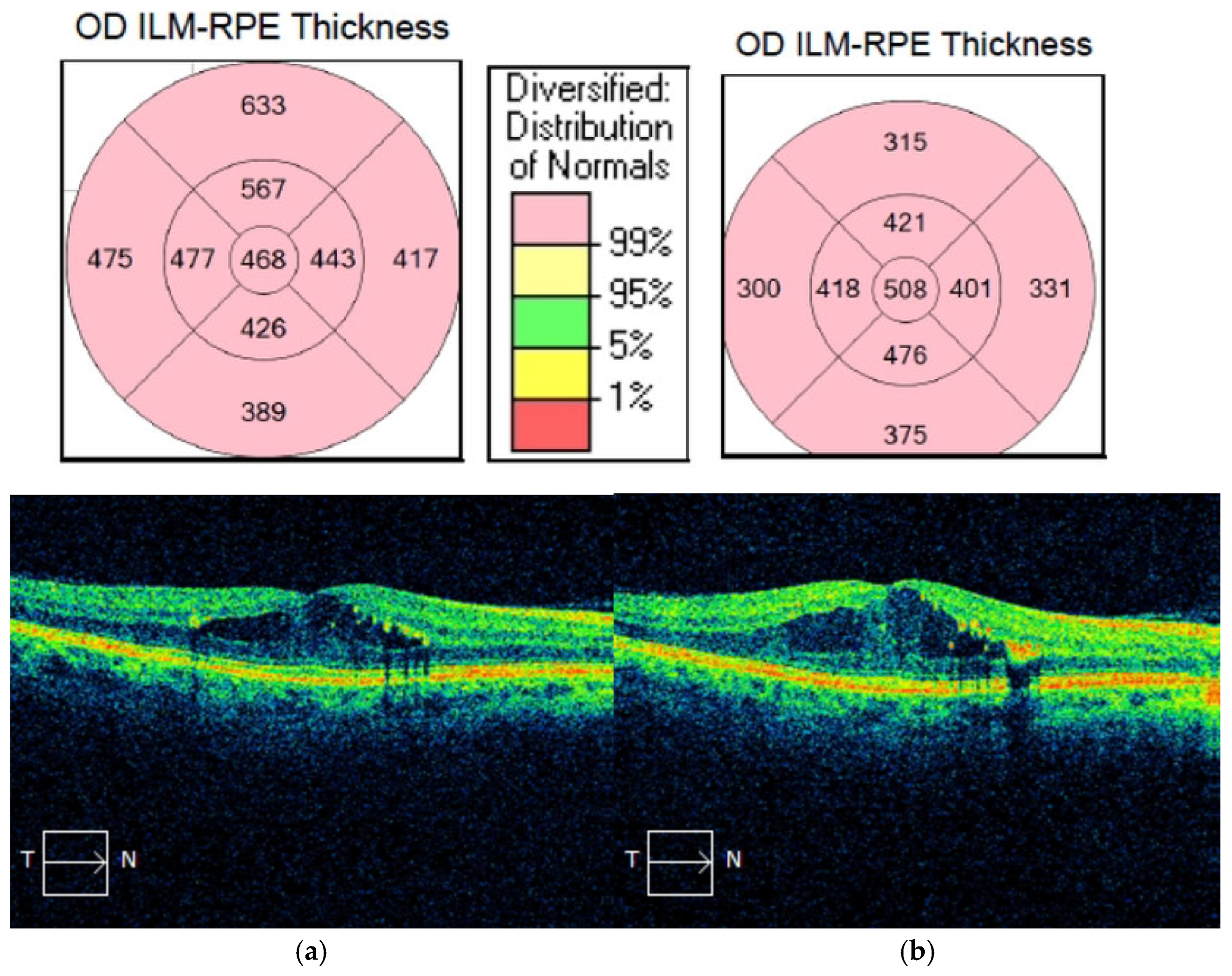 Biomedicines 13 01308 g003