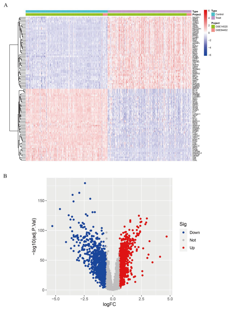 Biomedicines 13 01313 g002
