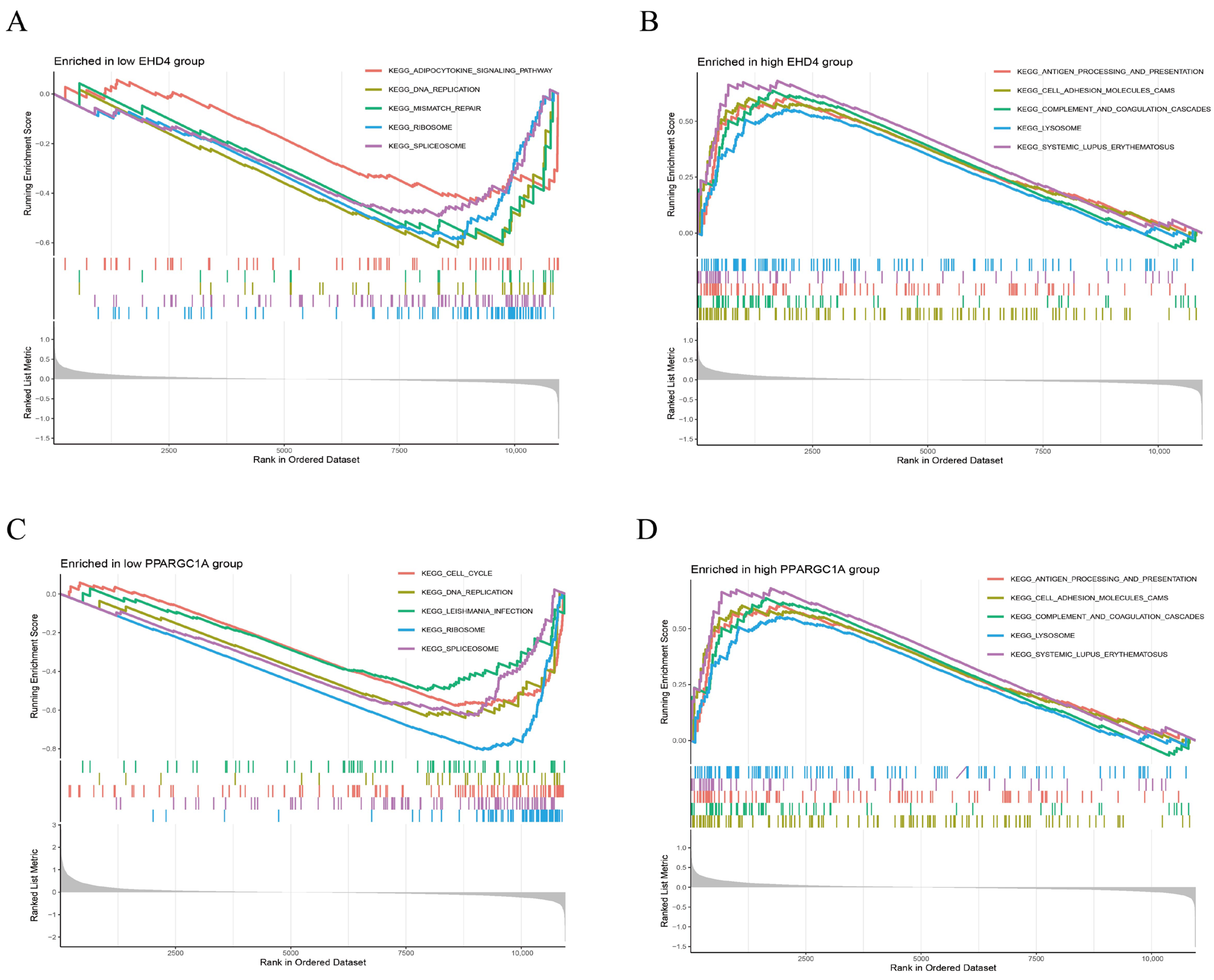 Biomedicines 13 01313 g006