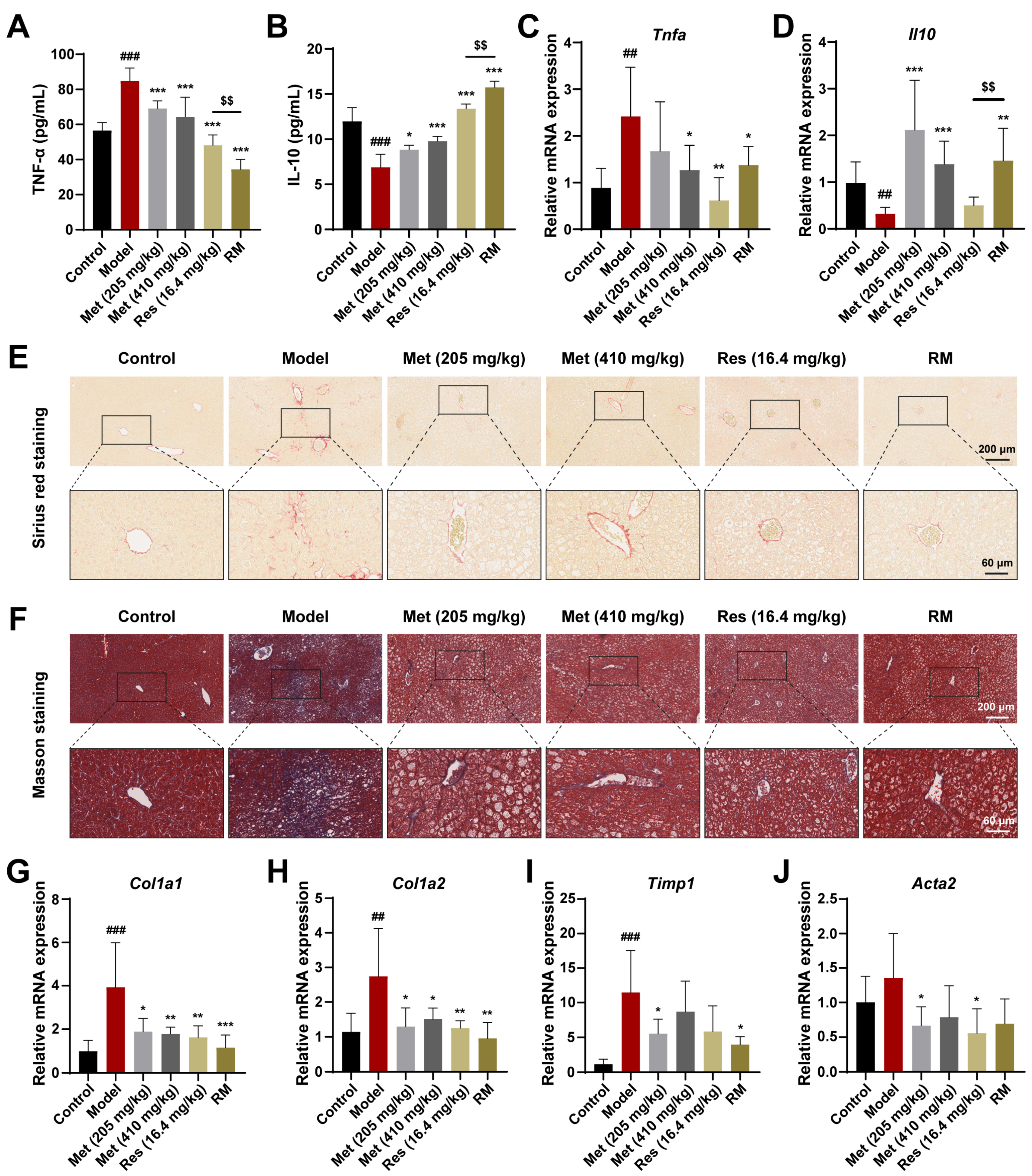 Biomedicines 13 01315 g004