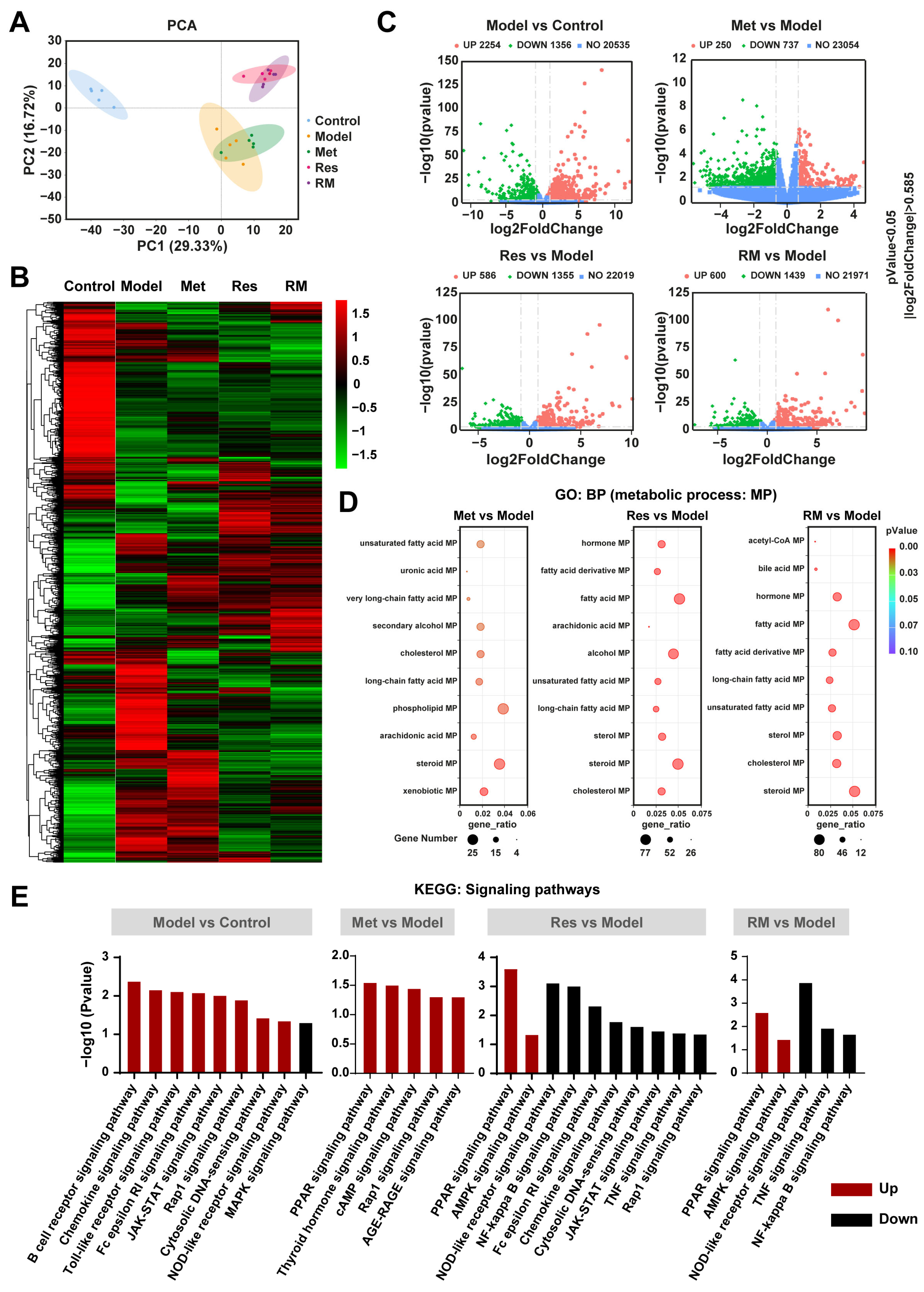 Biomedicines 13 01315 g005