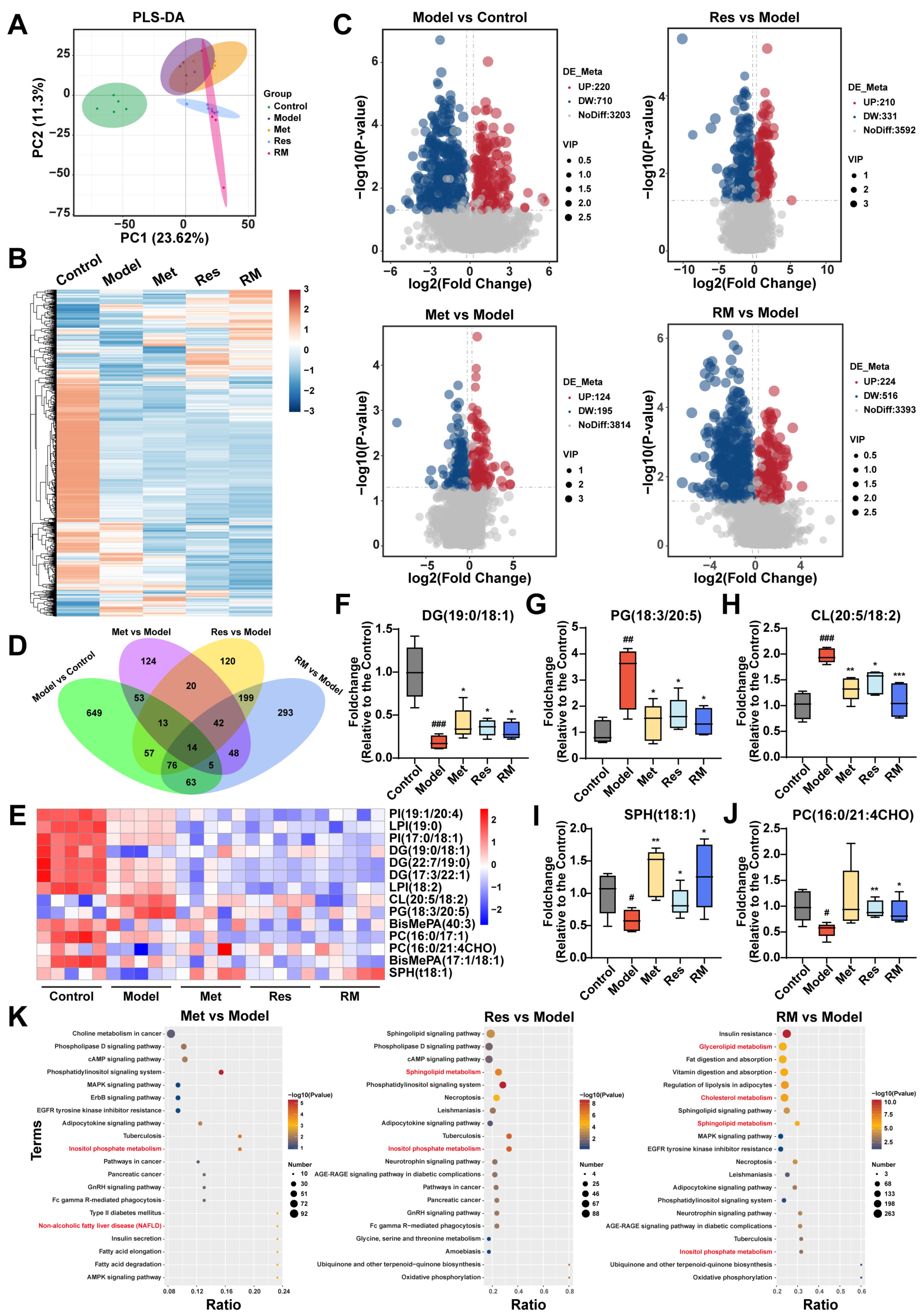 Biomedicines 13 01315 g006