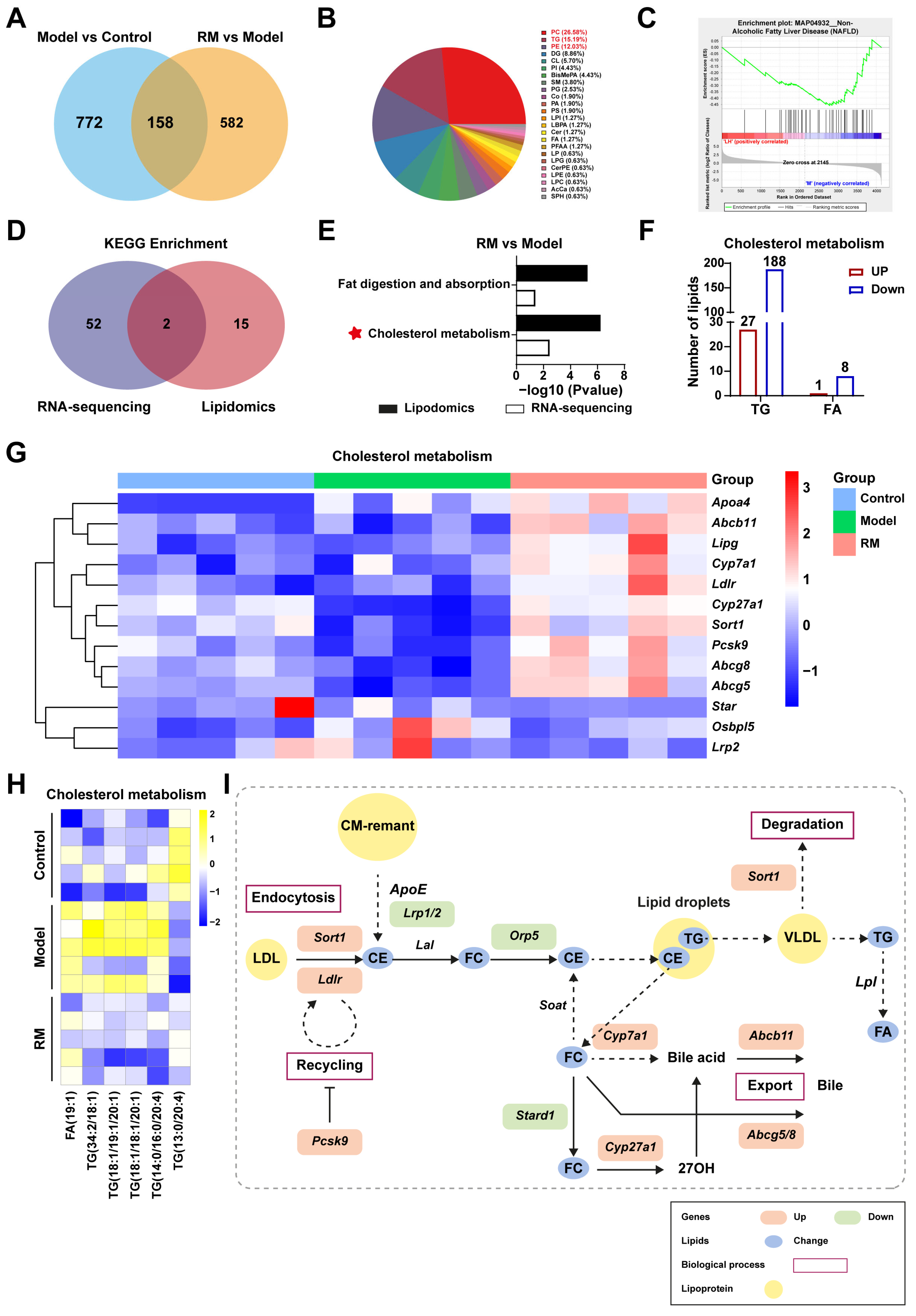 Biomedicines 13 01315 g007