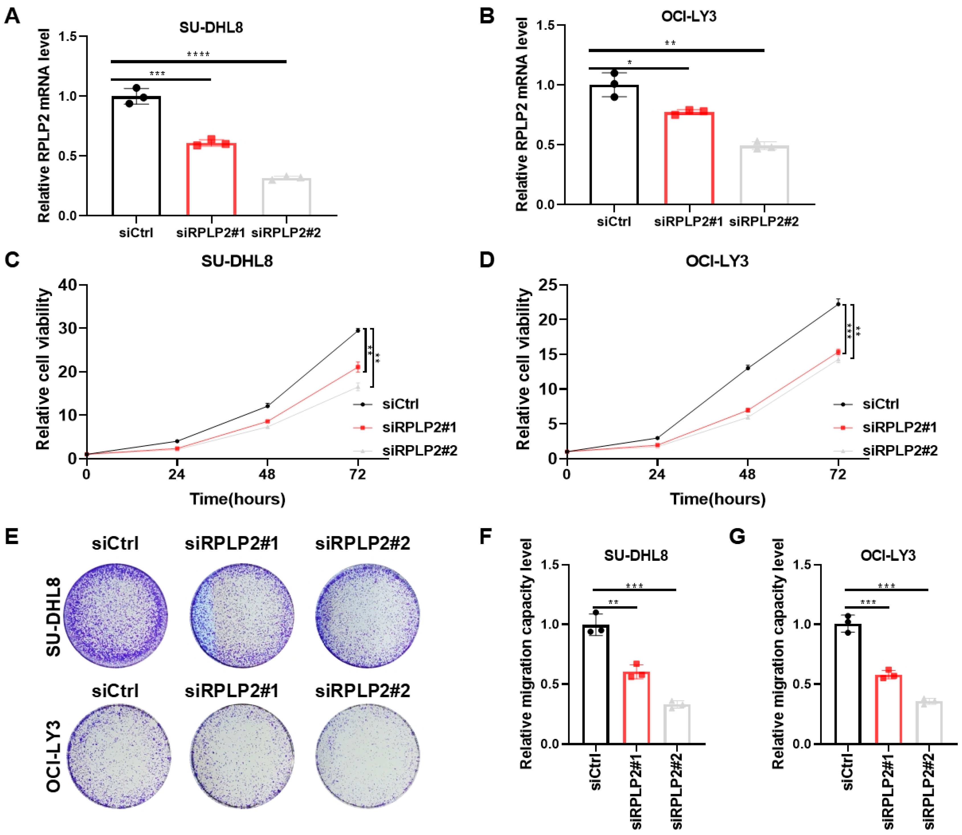 Biomedicines 13 01320 g002