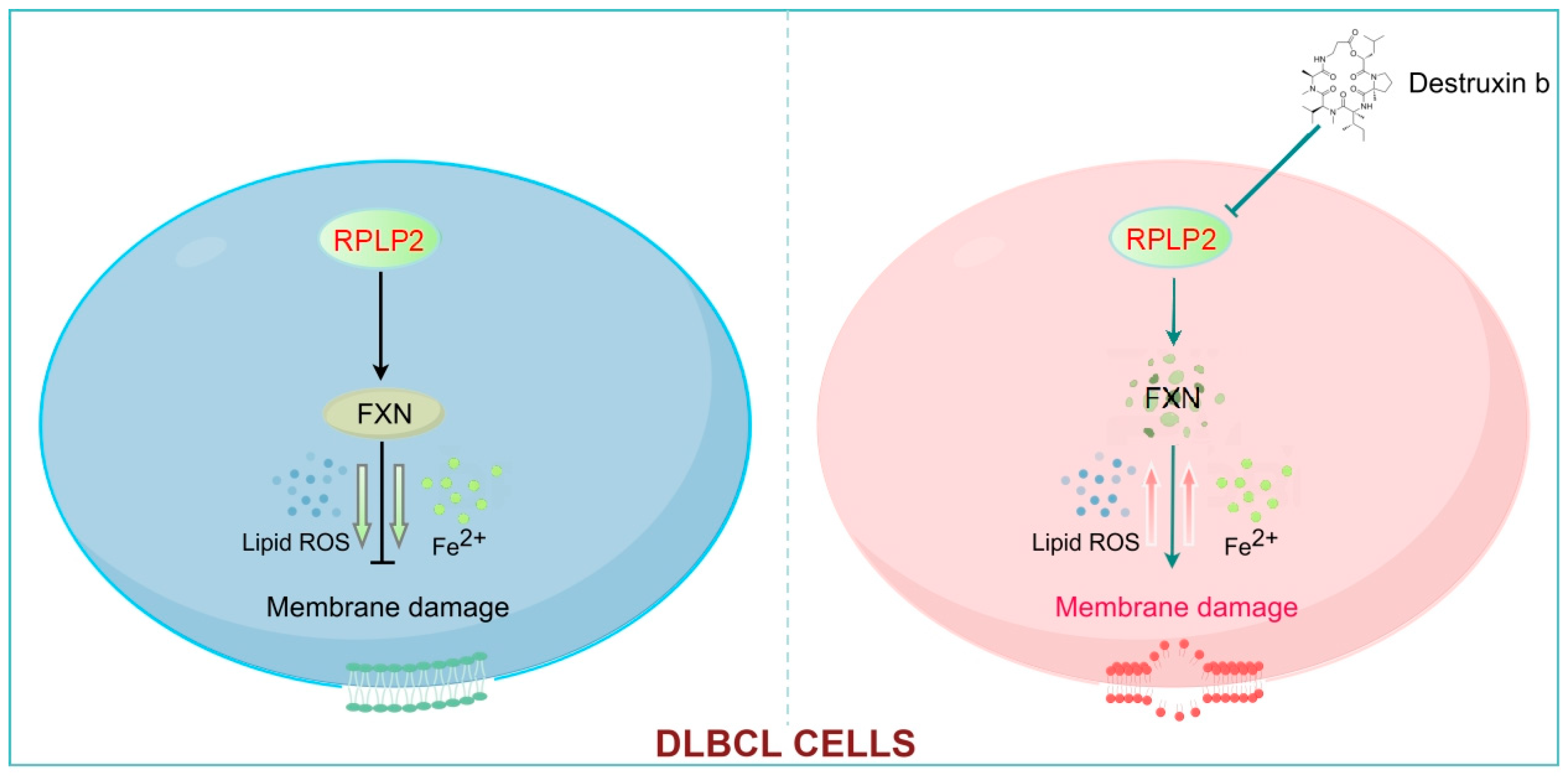 Biomedicines 13 01320 g007