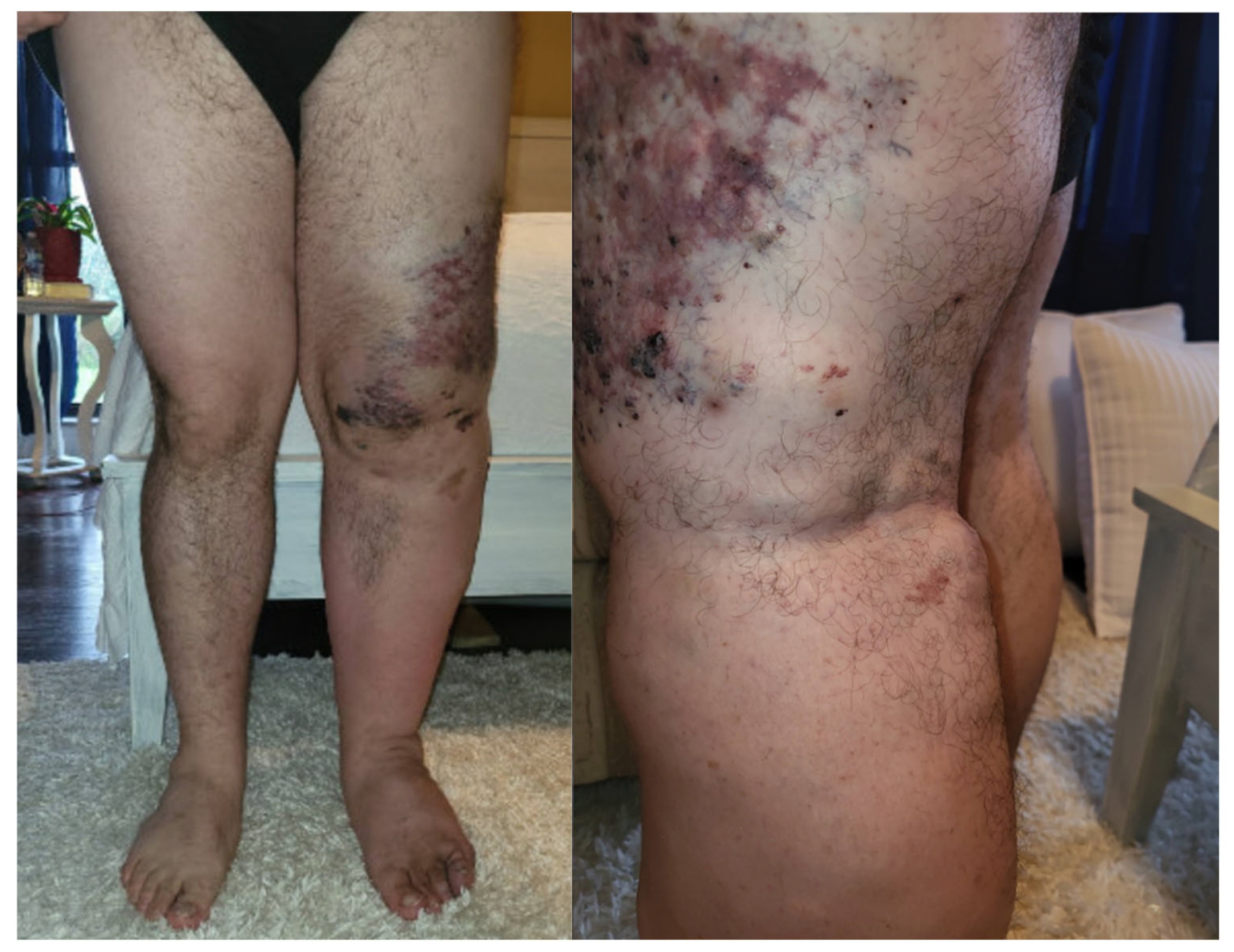 Biomedicines 13 01326 g001