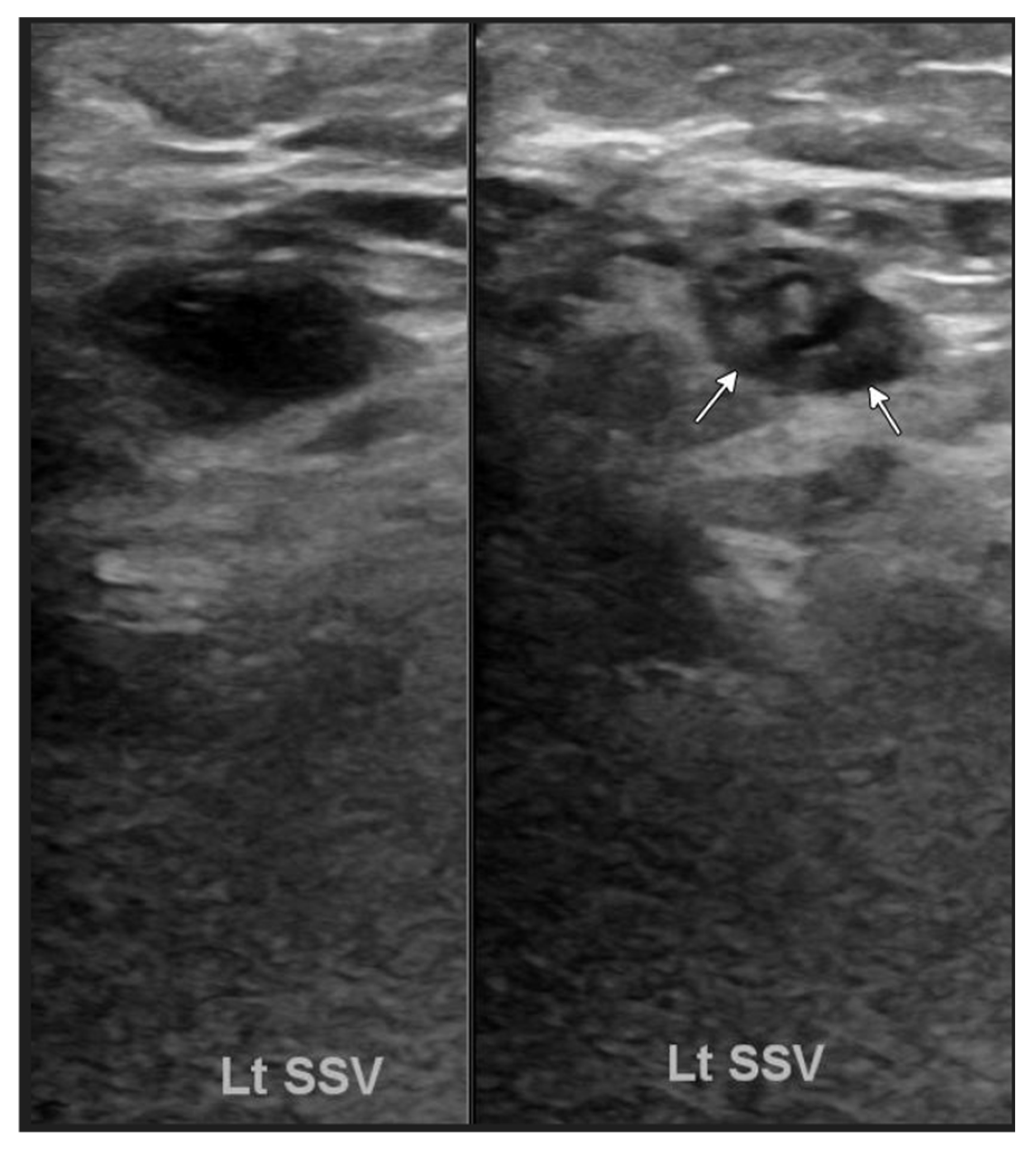 Biomedicines 13 01326 g002