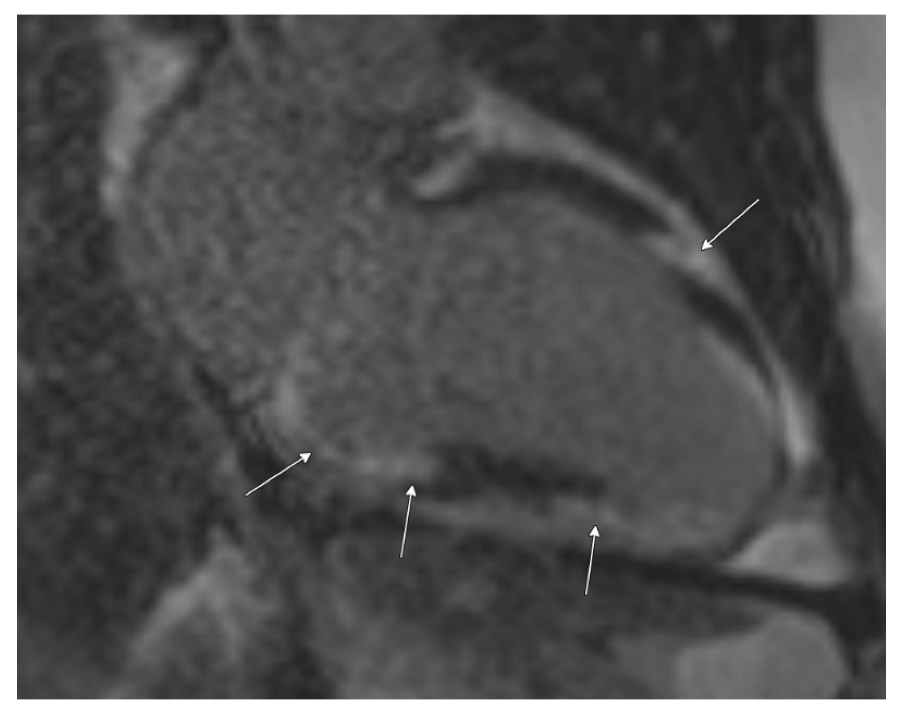 Biomedicines 13 01326 g003