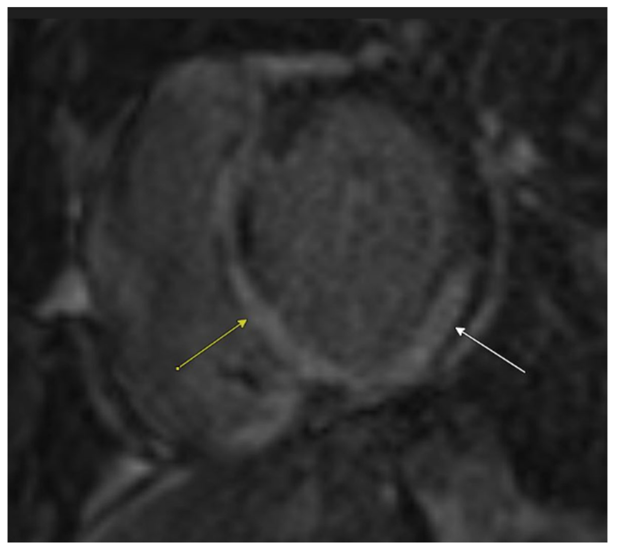 Biomedicines 13 01326 g004