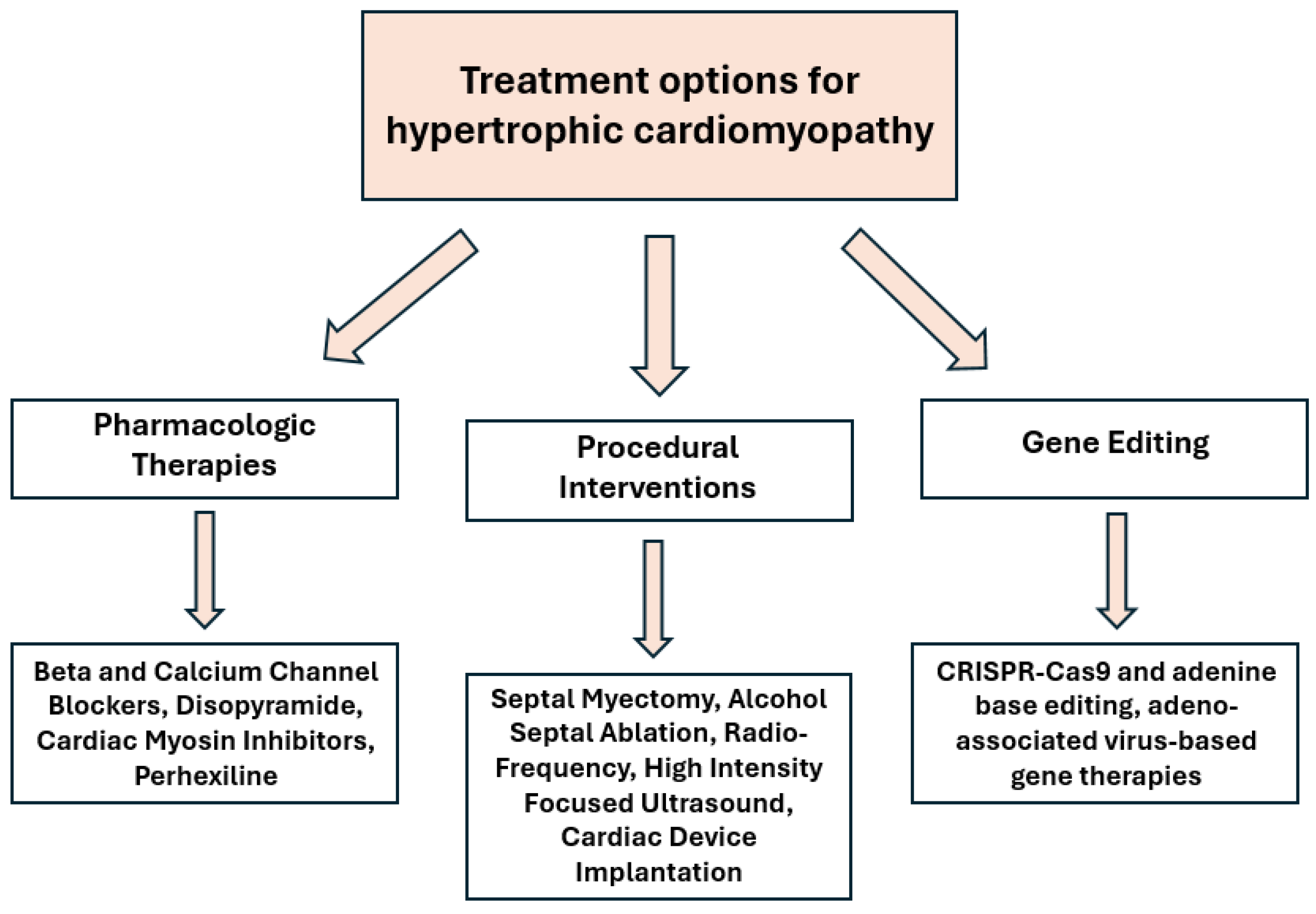 Biomedicines 13 01327 g002