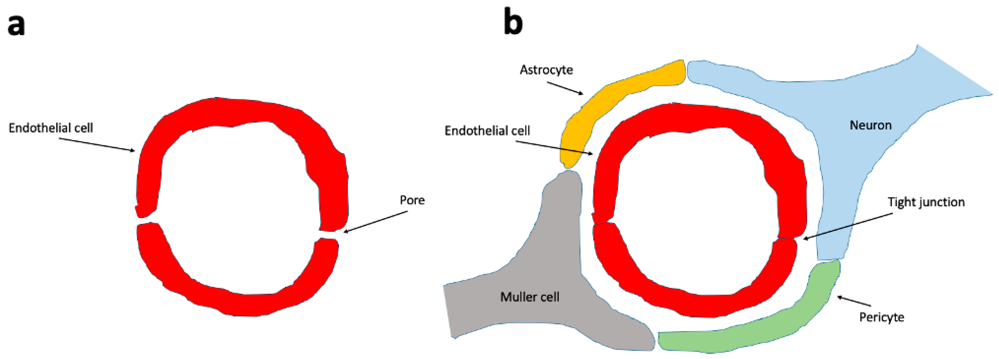 Biomedicines 13 01328 g002