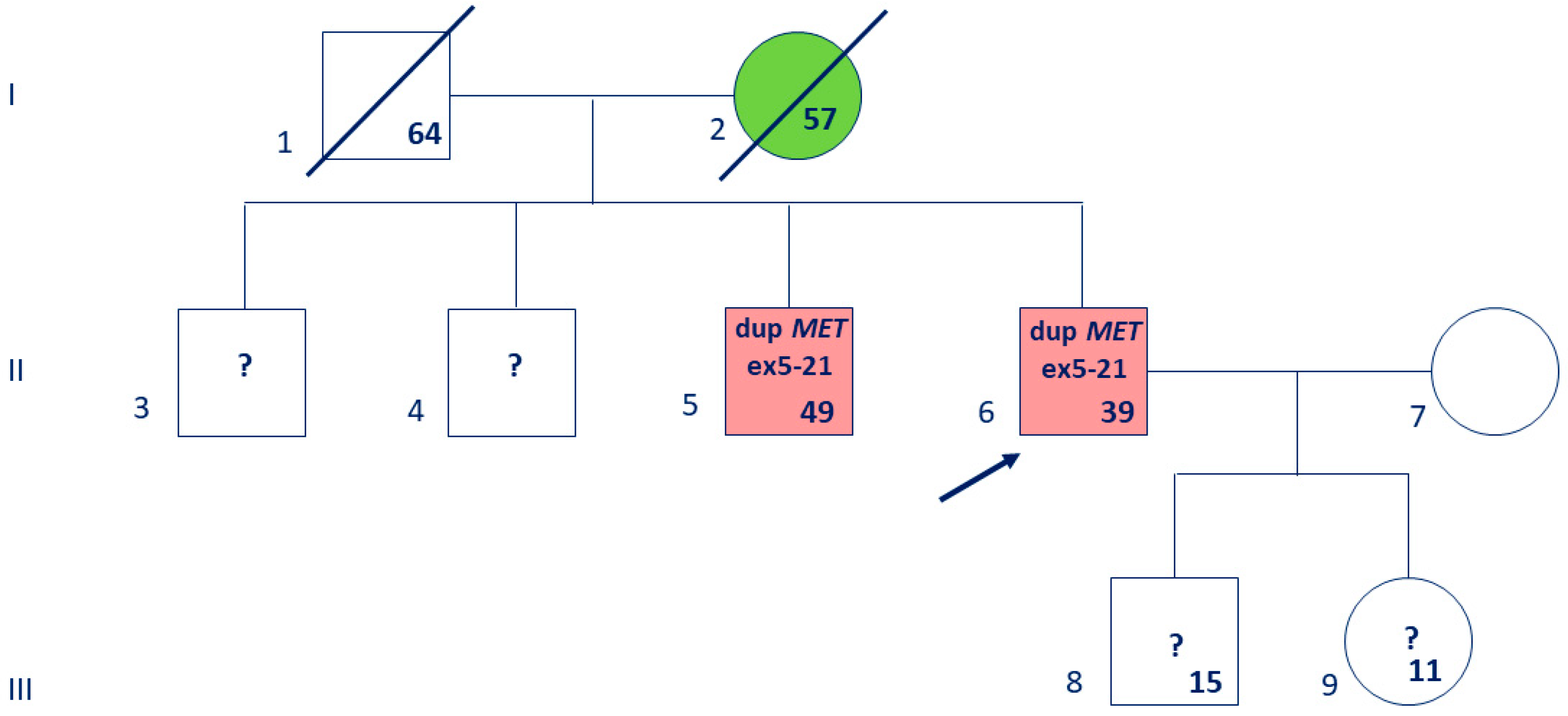 Biomedicines 13 01329 g001