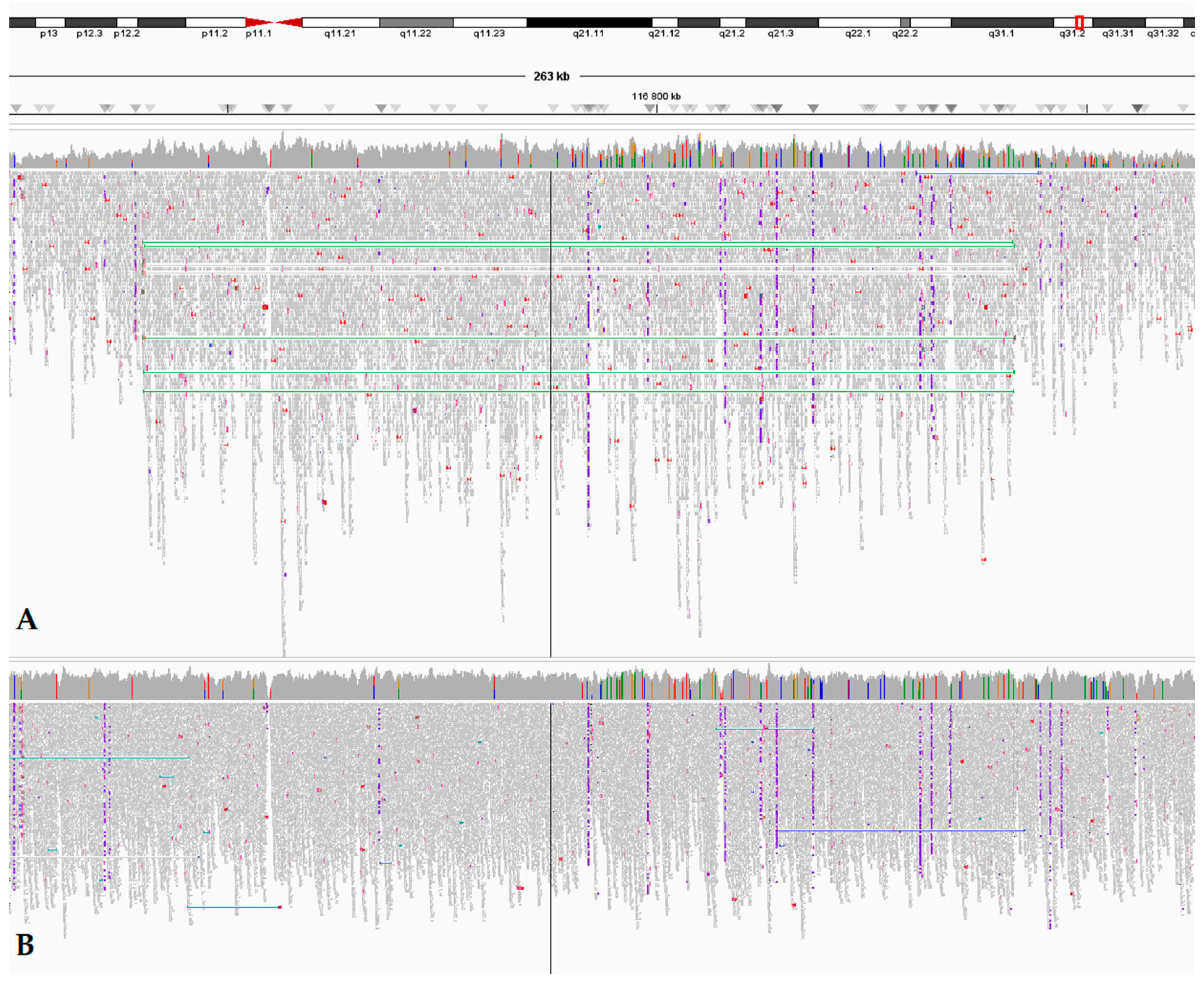 Biomedicines 13 01329 g002
