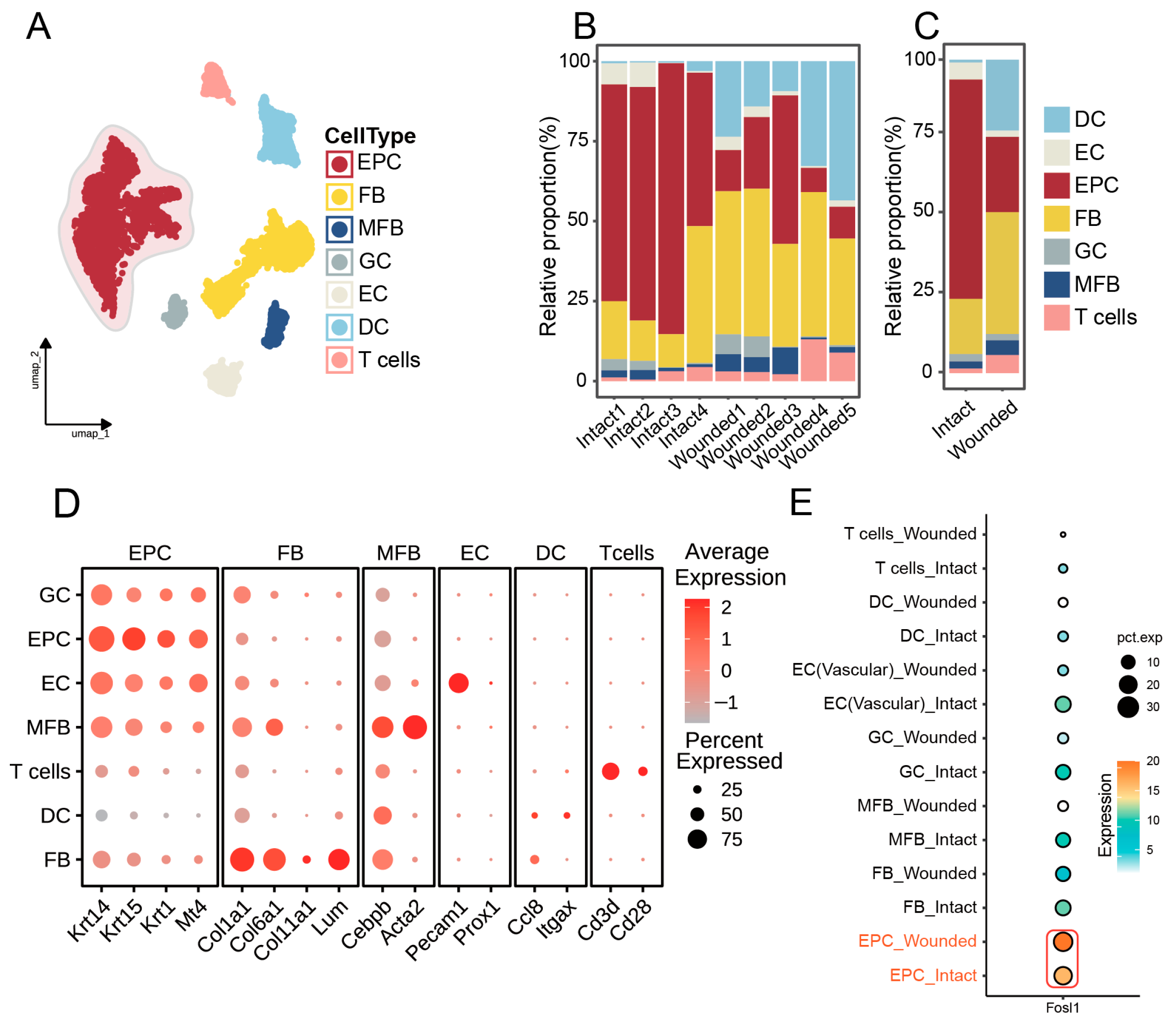 Biomedicines 13 01330 g003