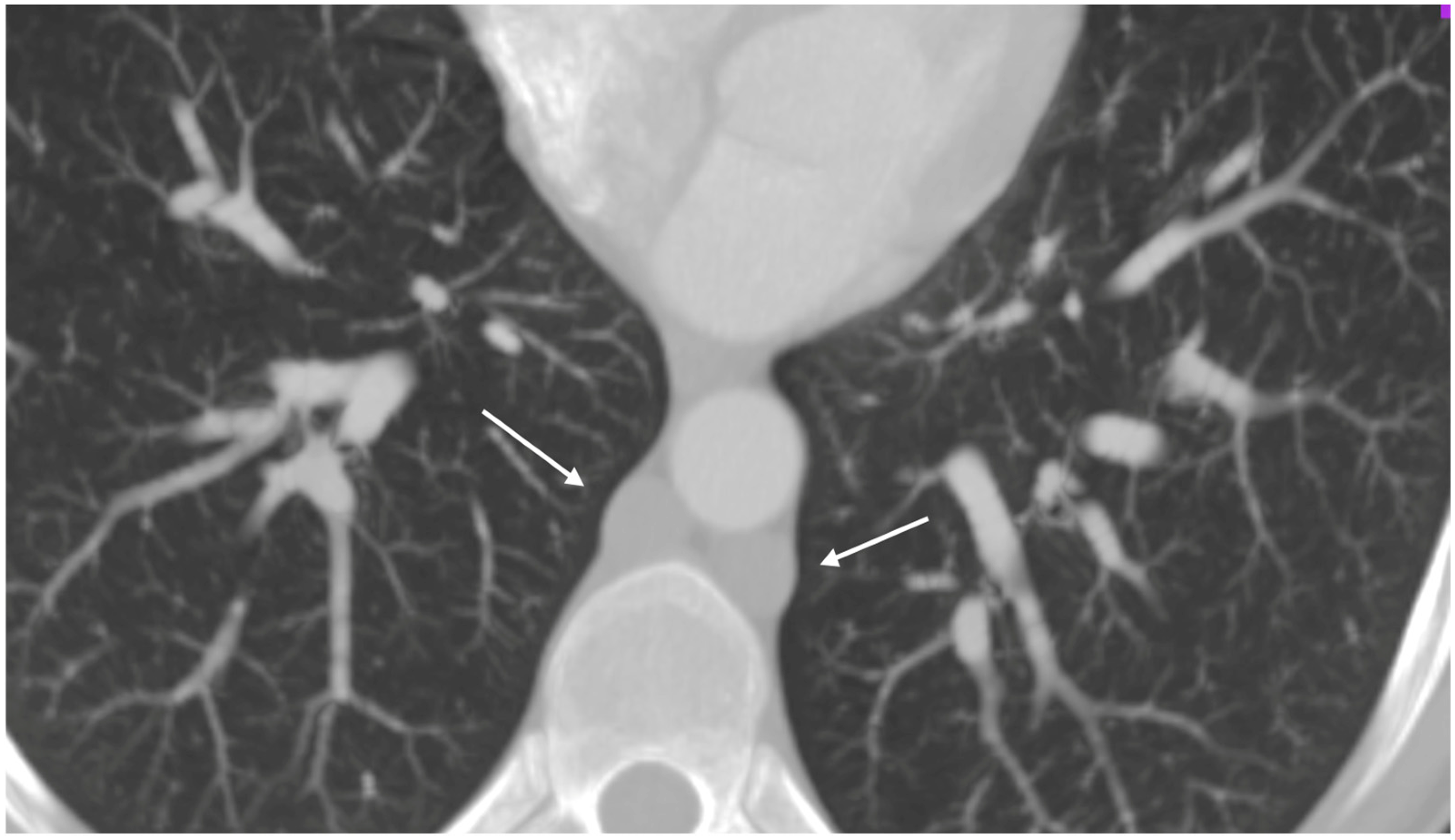 Biomedicines 13 01336 g001