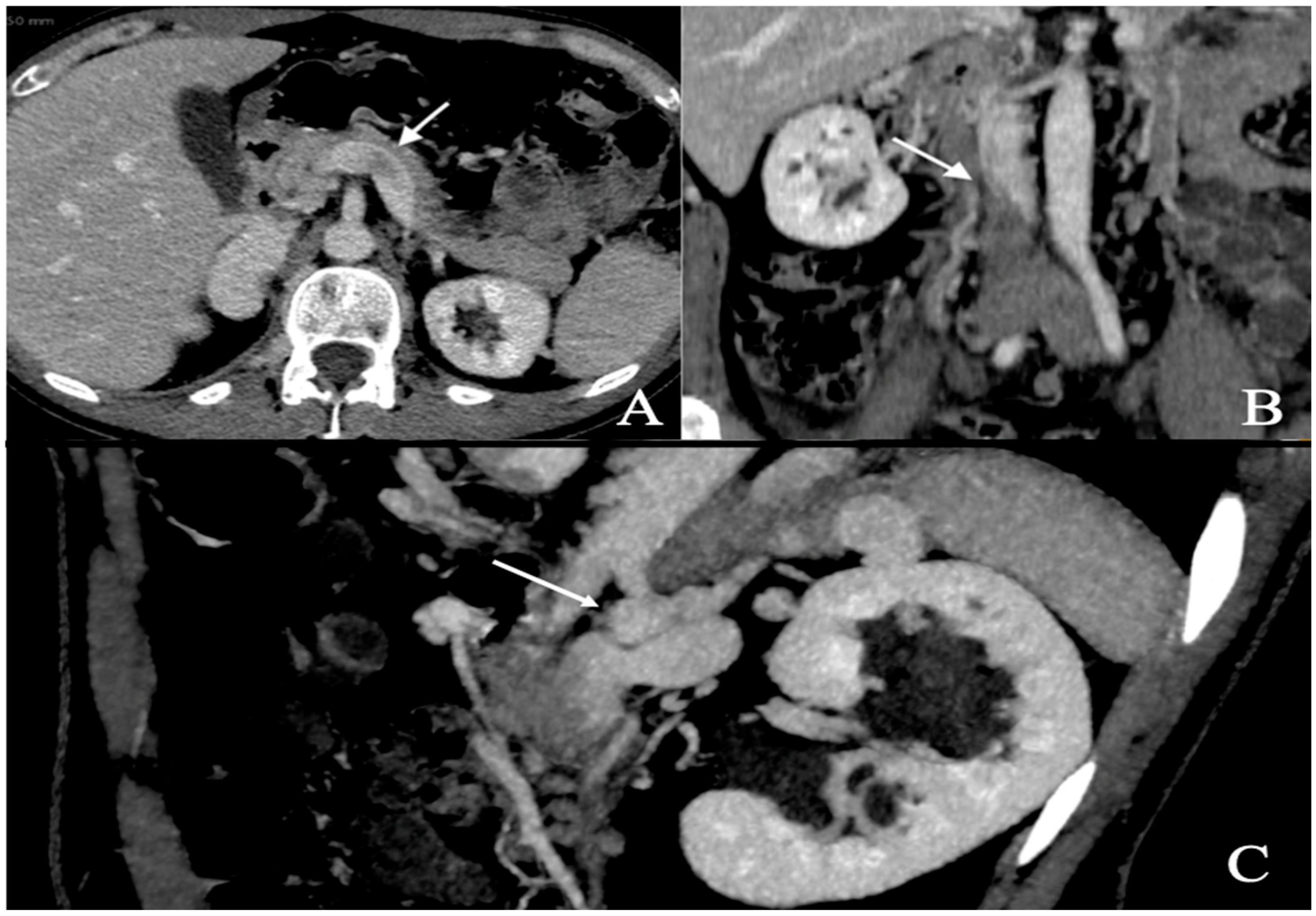 Biomedicines 13 01336 g002